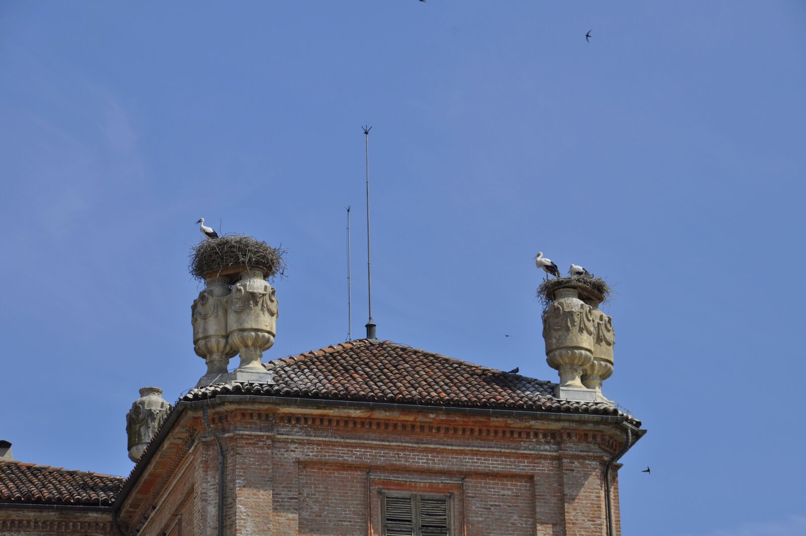 Nikon D5000 sample photo. Nest, stork, roof photography