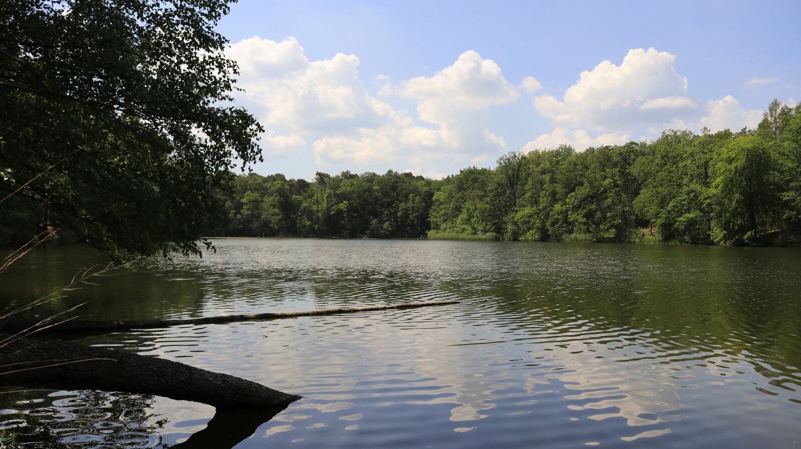 Canon EOS 80D sample photo. Lake, schampsee, brandenburg photography