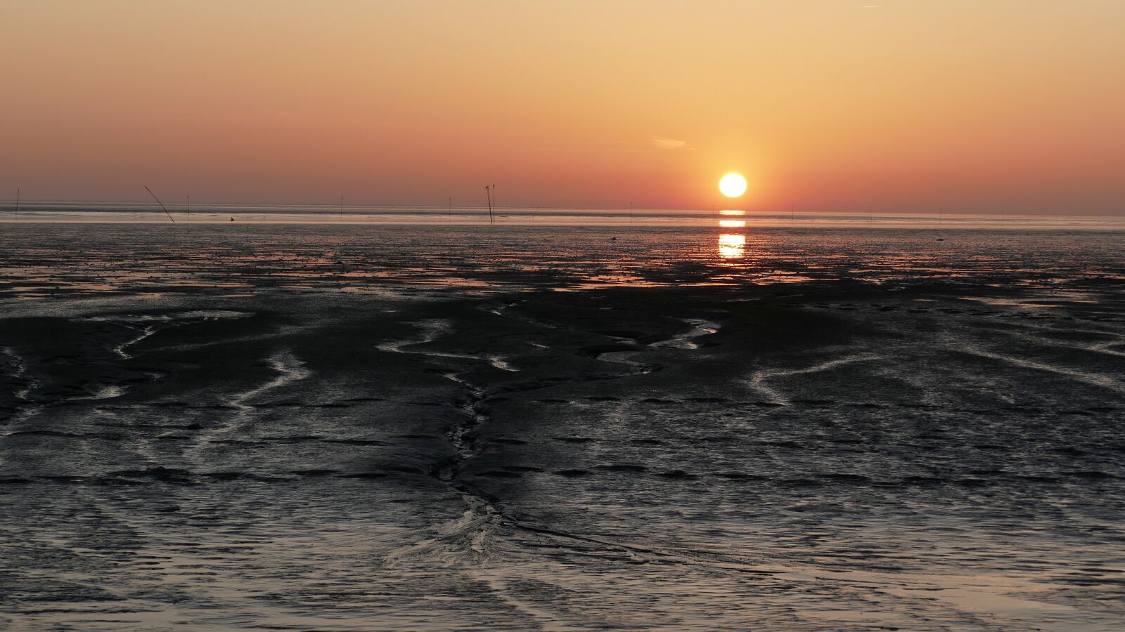 Panasonic Lumix DMC-FZ1000 sample photo. Sunset, sun, north sea photography
