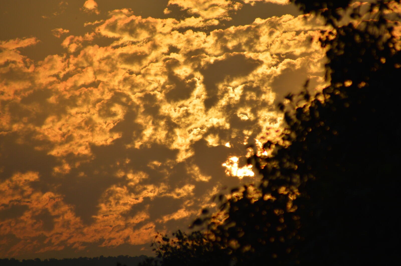 Nikon D3200 sample photo. Evening, sun, golden, sun photography