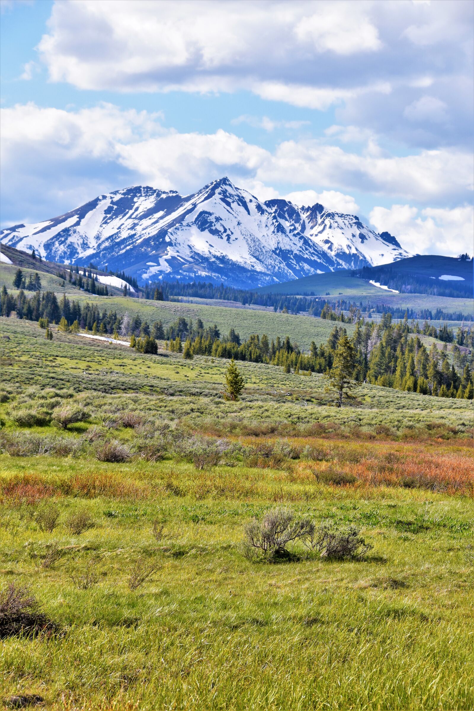 Nikon D5500 sample photo. Mountain, sagebrush, yellowstone, national photography