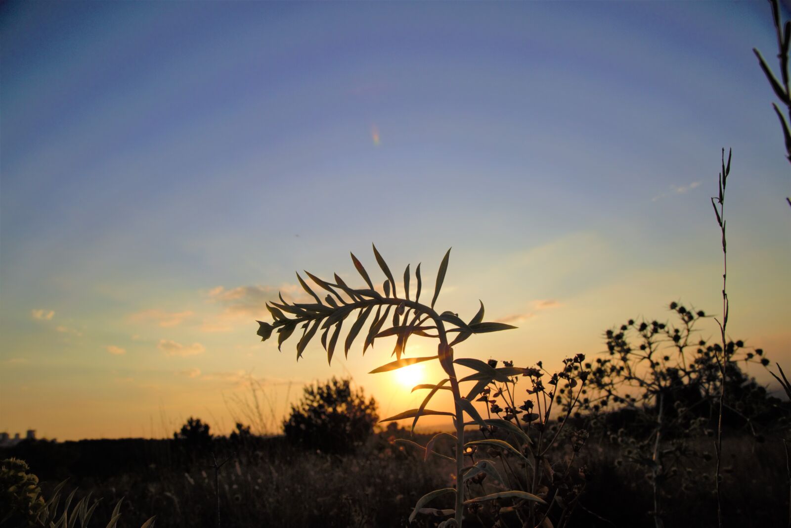 Canon EOS 5D Mark III sample photo. Sunset, horizon, sky photography