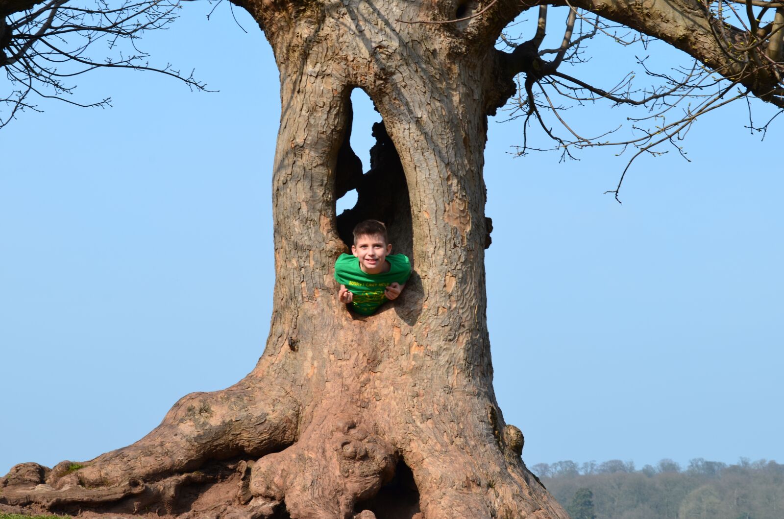 Nikon D5100 sample photo. Tree, boy, green t-shirt photography