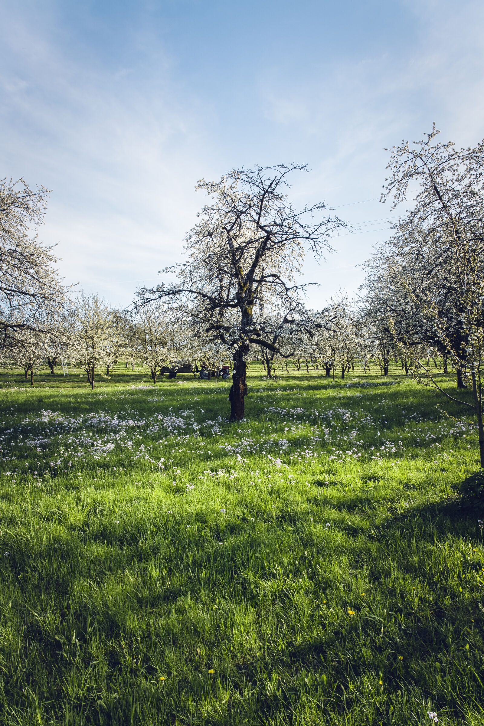 Canon EF 24-70mm F2.8L II USM sample photo. Landscape, nature, sky, clouds photography