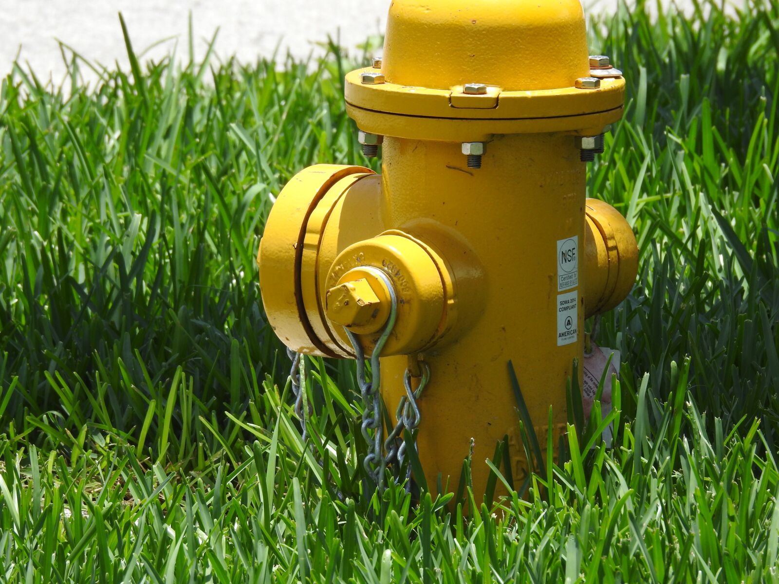 Nikon Coolpix P900 sample photo. Fire, fire hose, emergency photography