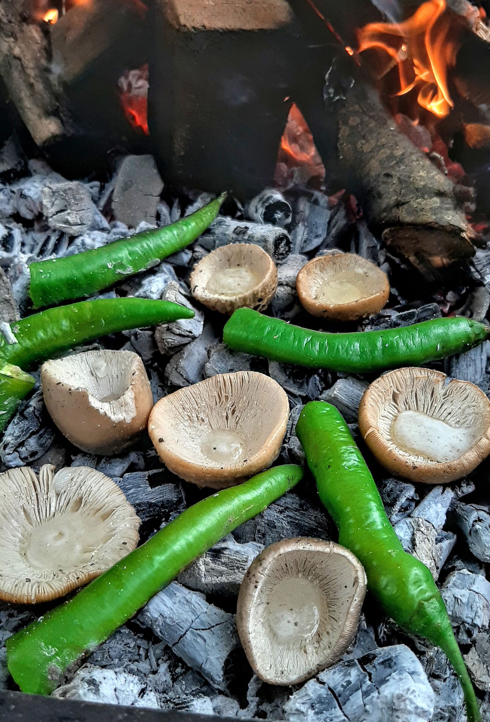 Samsung Galaxy A50 sample photo. Mushroom, ali, embers photography