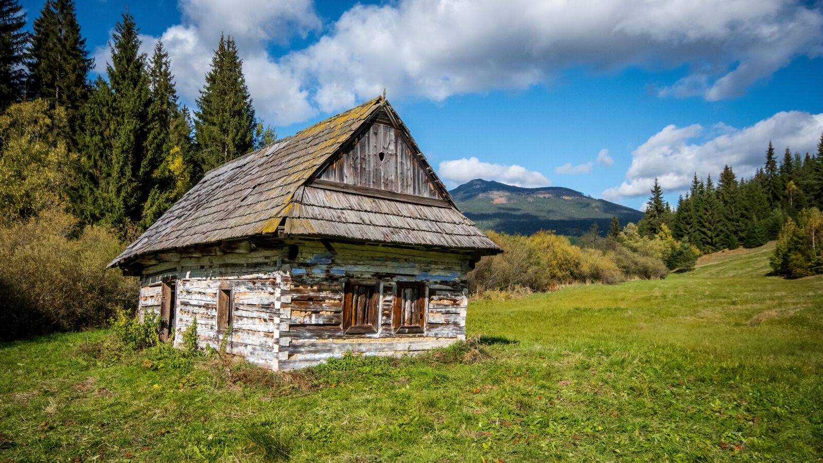 Nikon D500 sample photo. Cottage, old, wooden photography