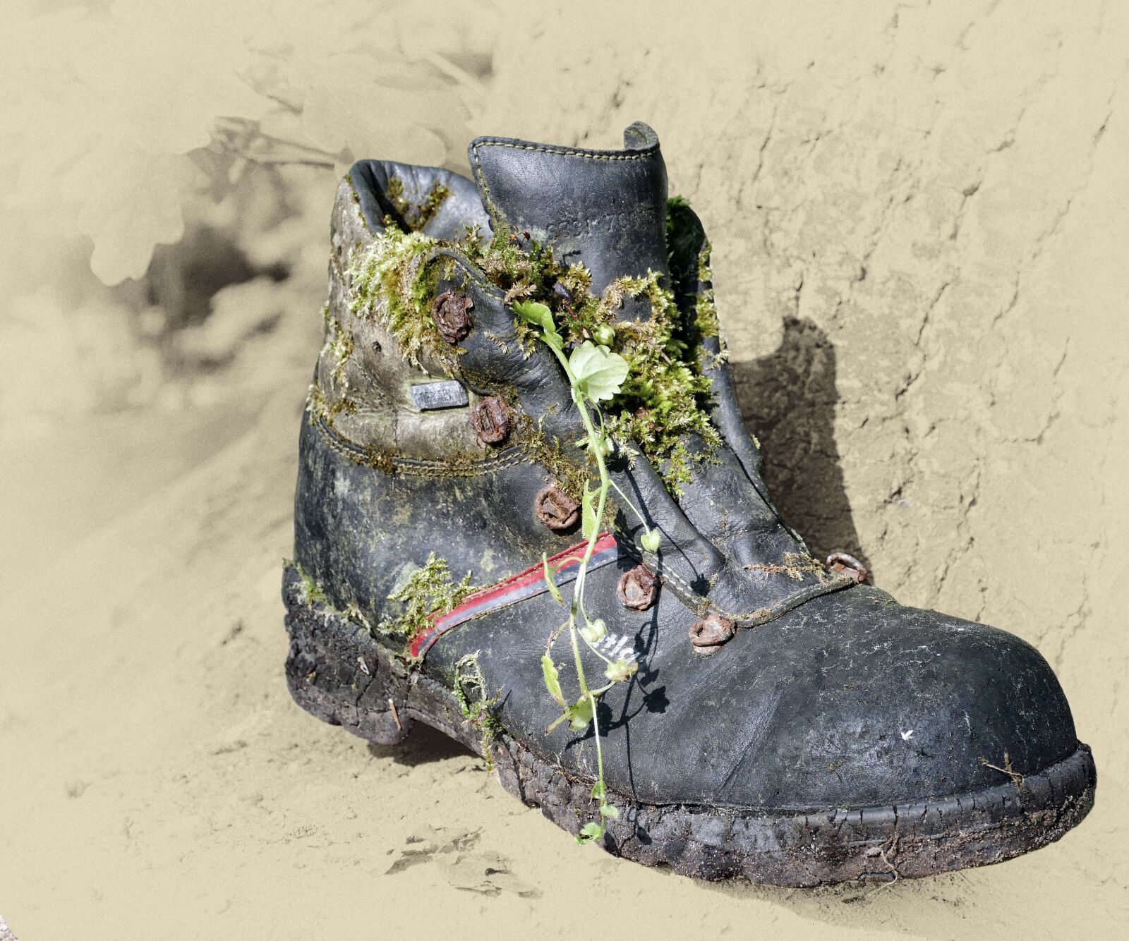 Panasonic Lumix DMC-FZ1000 sample photo. Shoe, boots, vintage photography