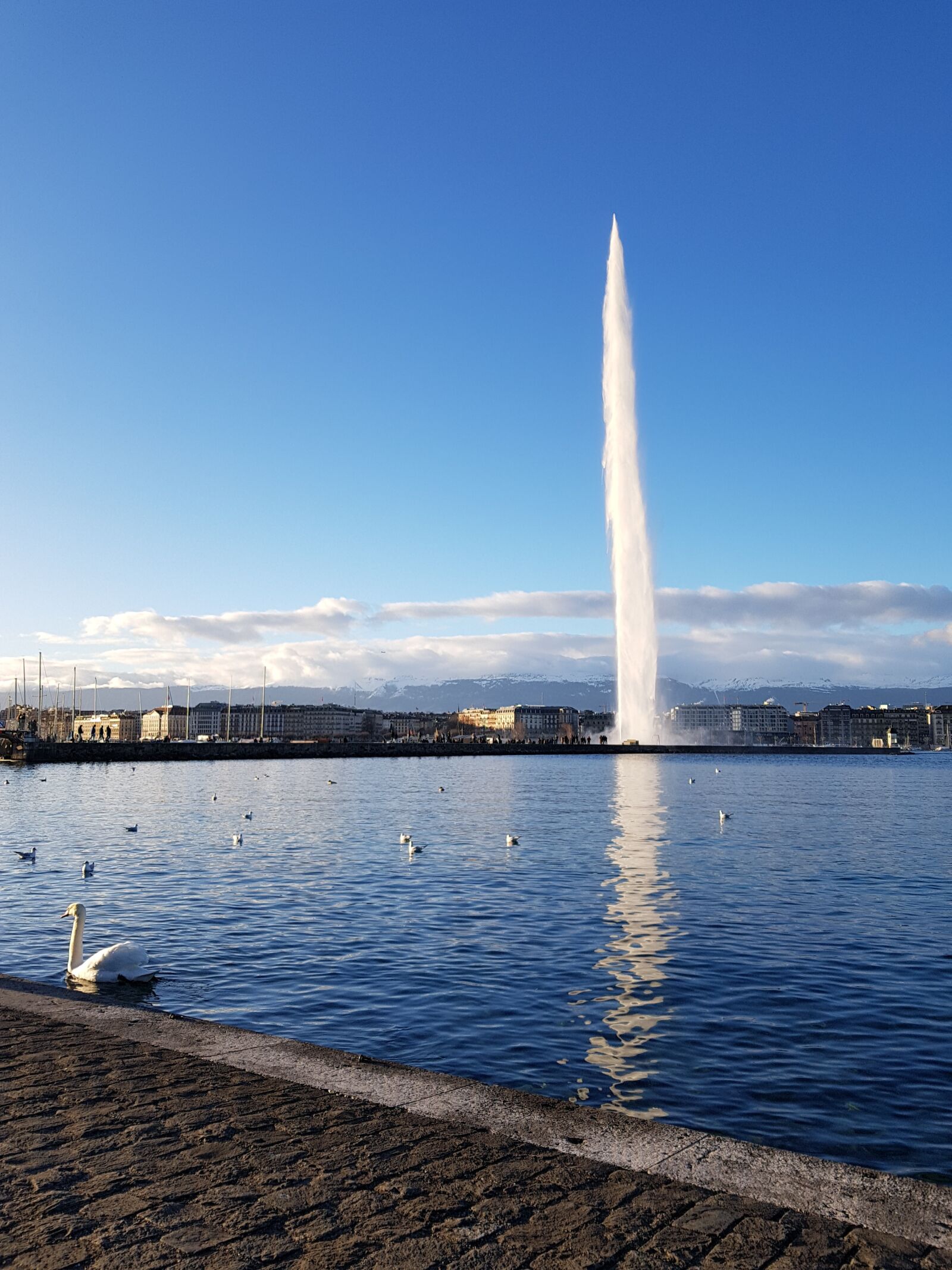 Samsung Galaxy S7 sample photo. The fountain of geneva photography