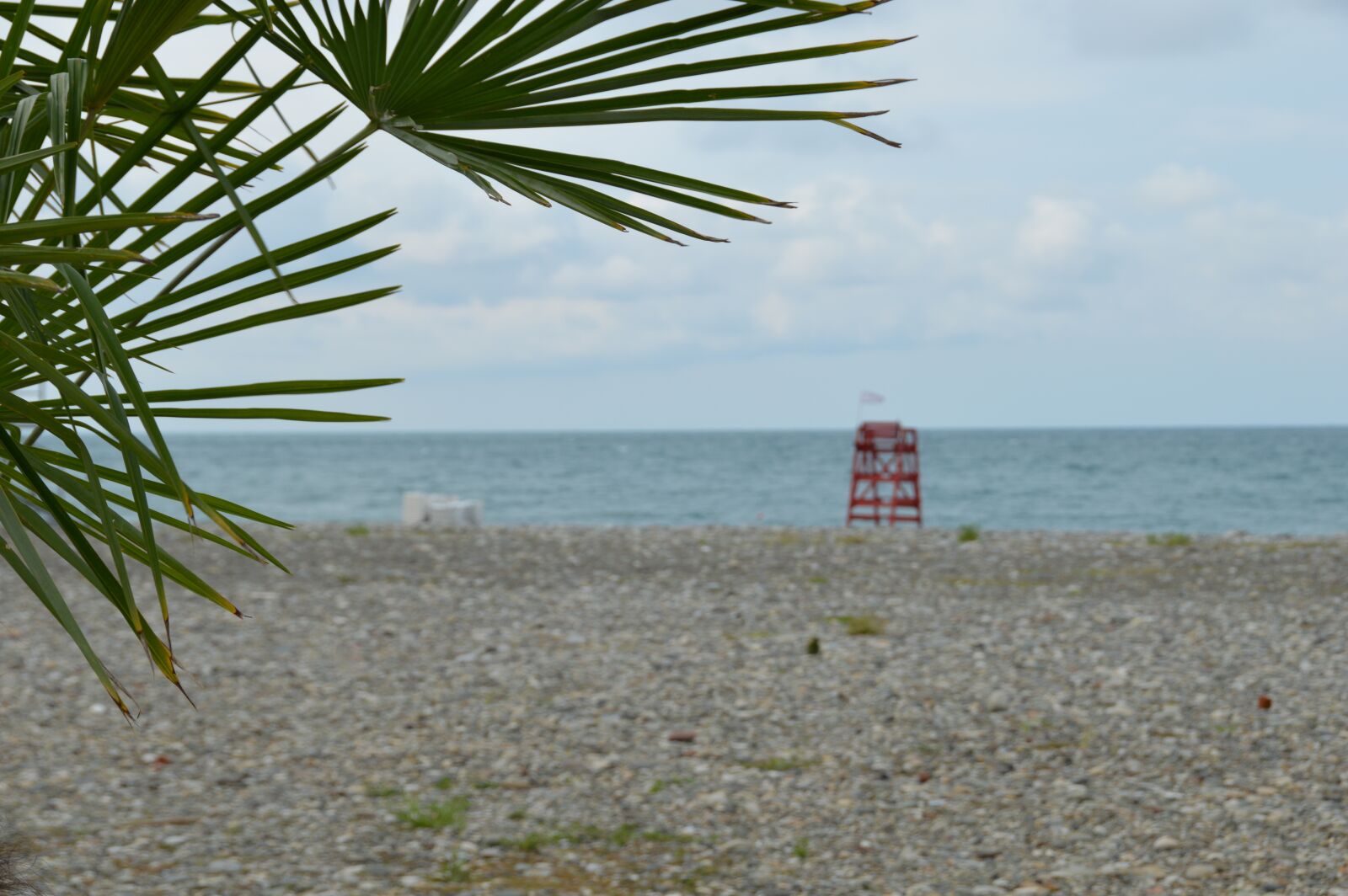 Nikon D3200 sample photo. Georgia, batoemi, the black photography