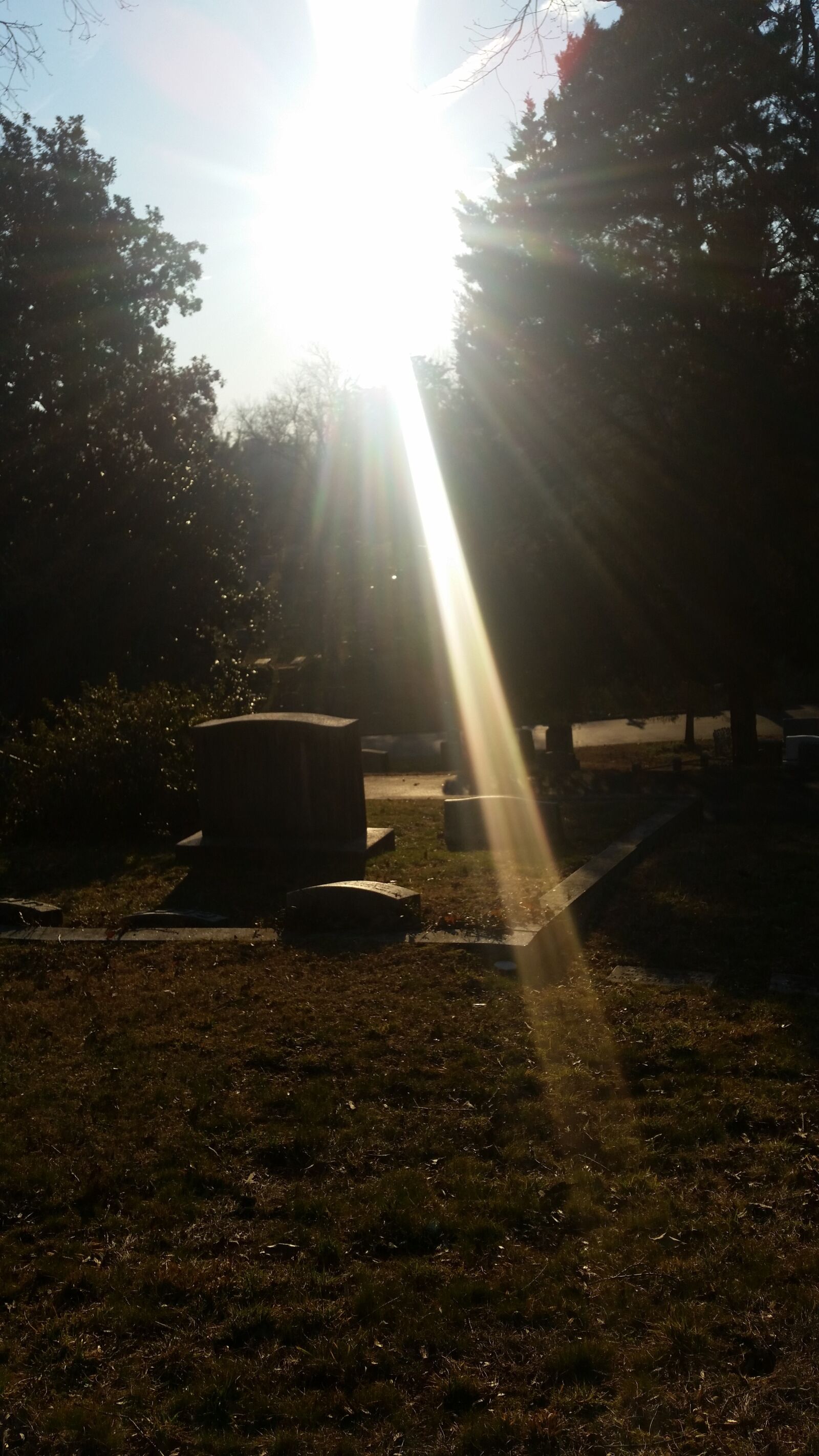 Samsung Galaxy S5 sample photo. Cemetery, sun, light photography