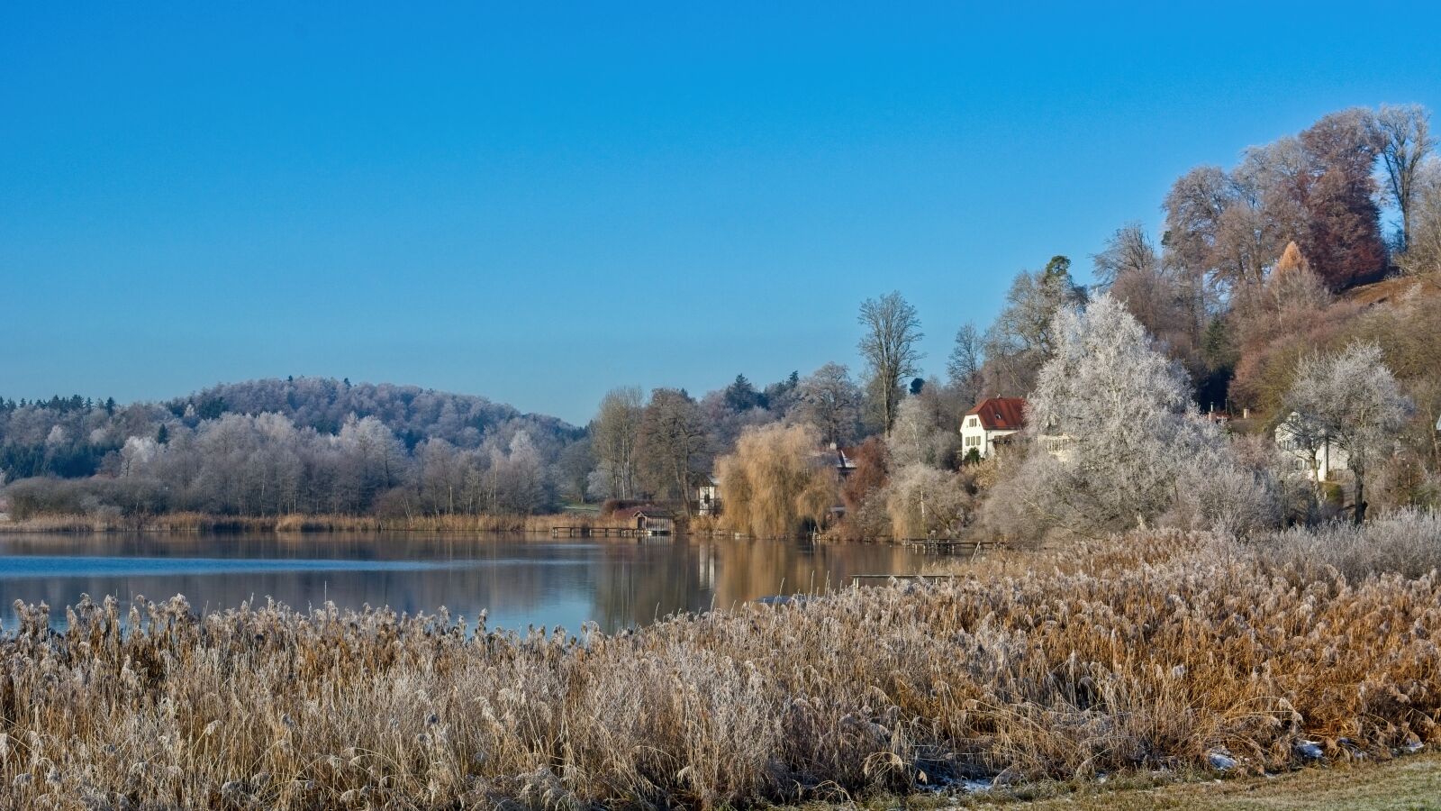 Nikon D7100 sample photo. Winter, frost, landscape photography