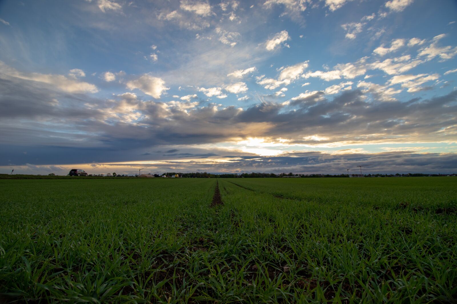 Canon EOS 800D (EOS Rebel T7i / EOS Kiss X9i) sample photo. Landscape, green, sky photography
