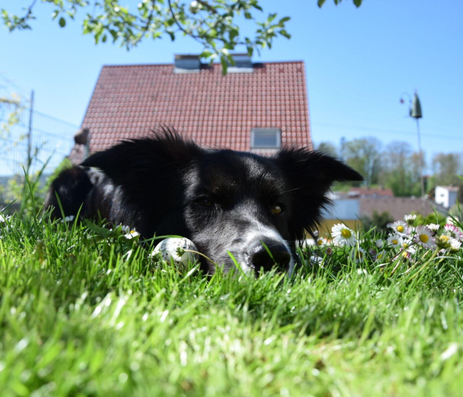 Nikon D5300 sample photo. Easter, ostereier seeking, easter photography