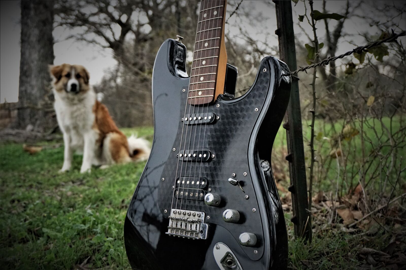 Sony a6300 sample photo. Electric guitar, guitar, music photography