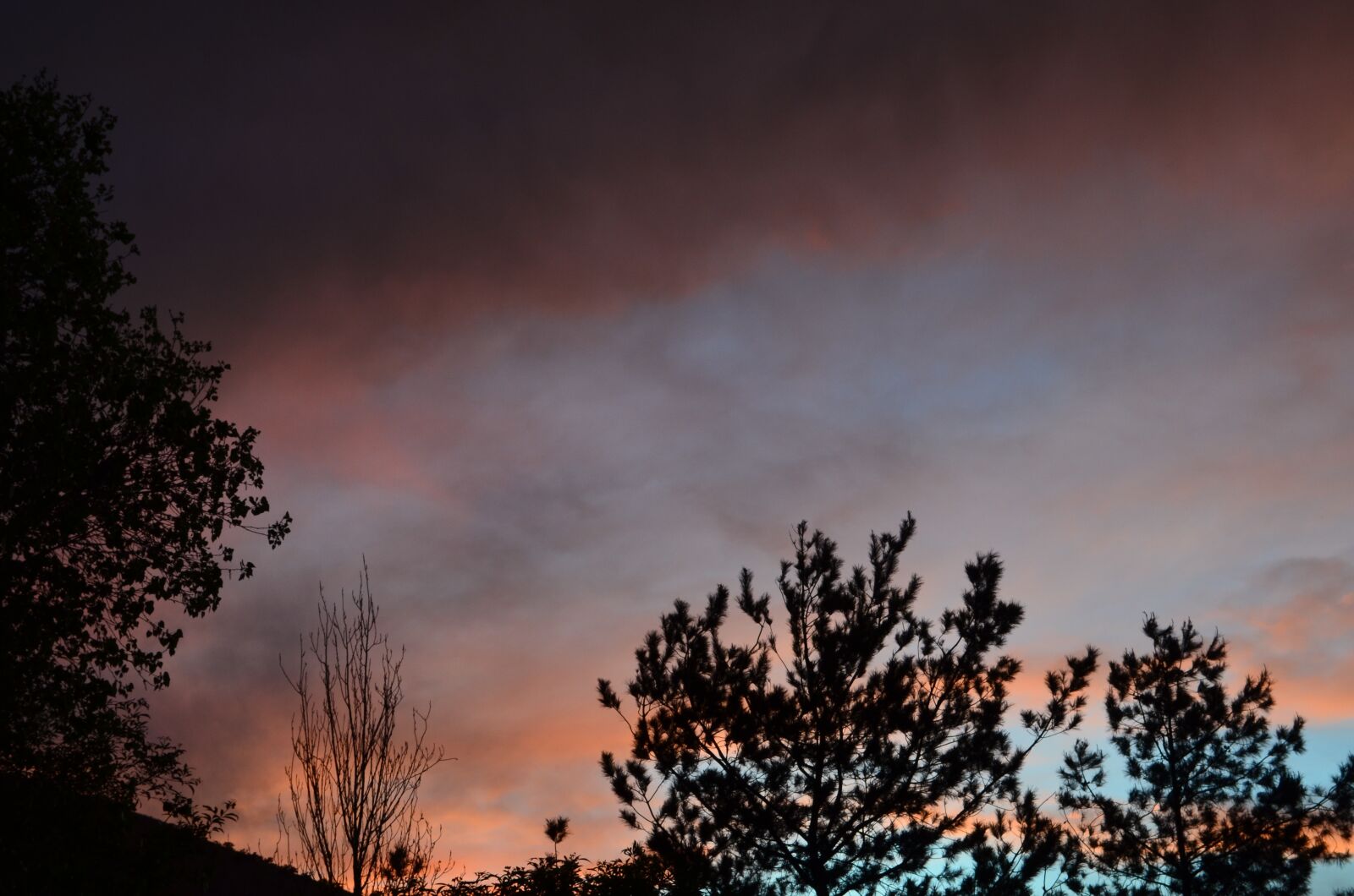 Nikon D5100 sample photo. Cloud, tree, landscape photography