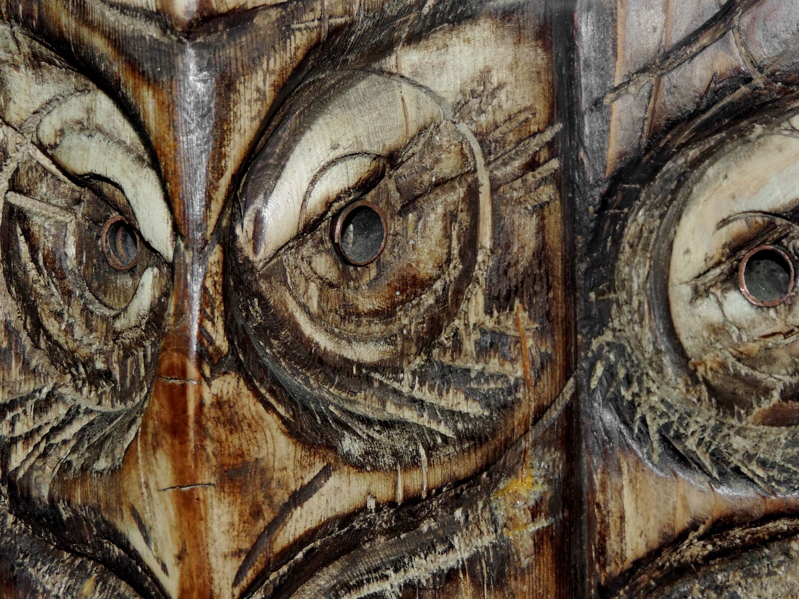 Nikon Coolpix P520 sample photo. Art, carving, detail, owl photography