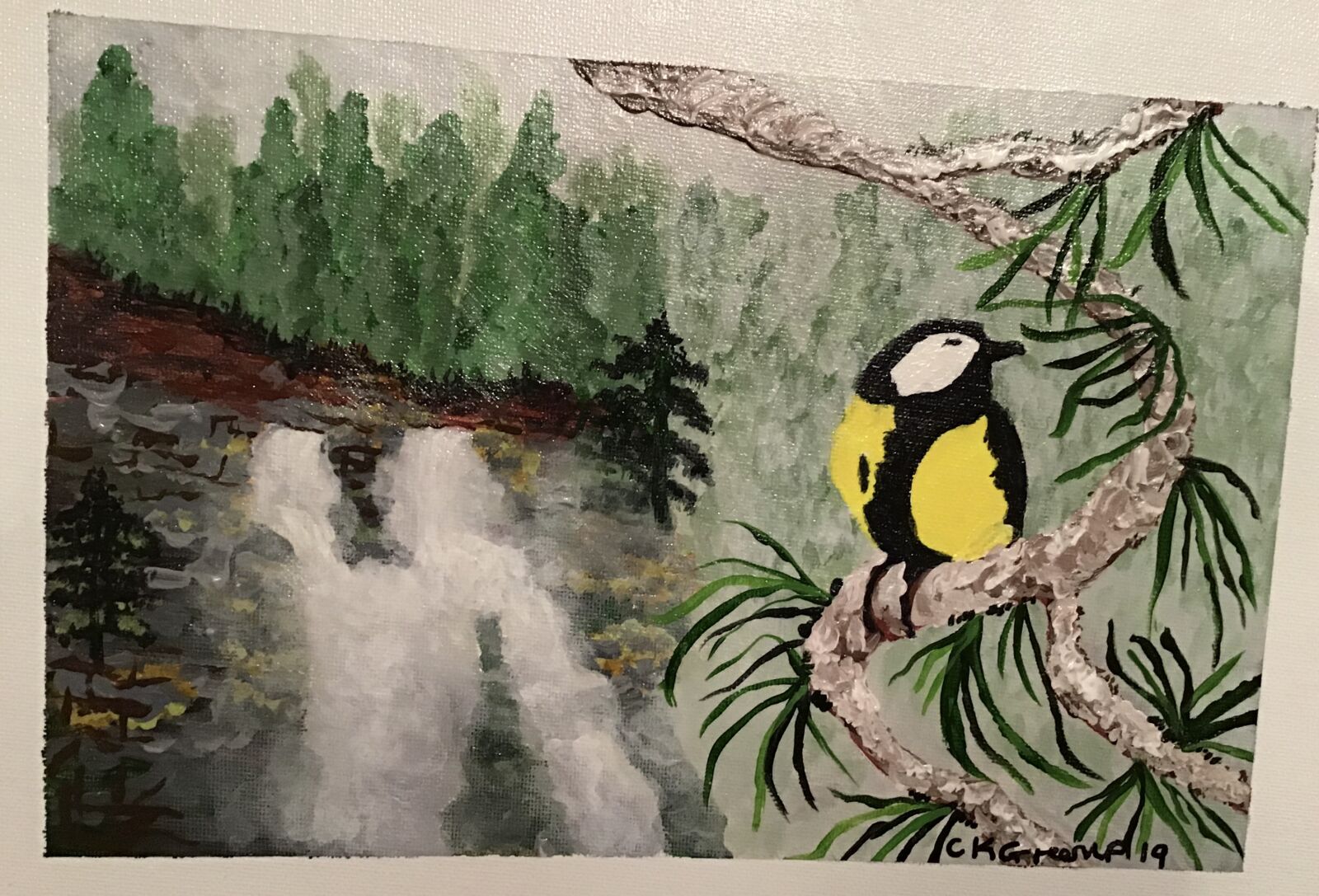 Apple iPad (6th generation) sample photo. Bird, great tit, waterfall photography