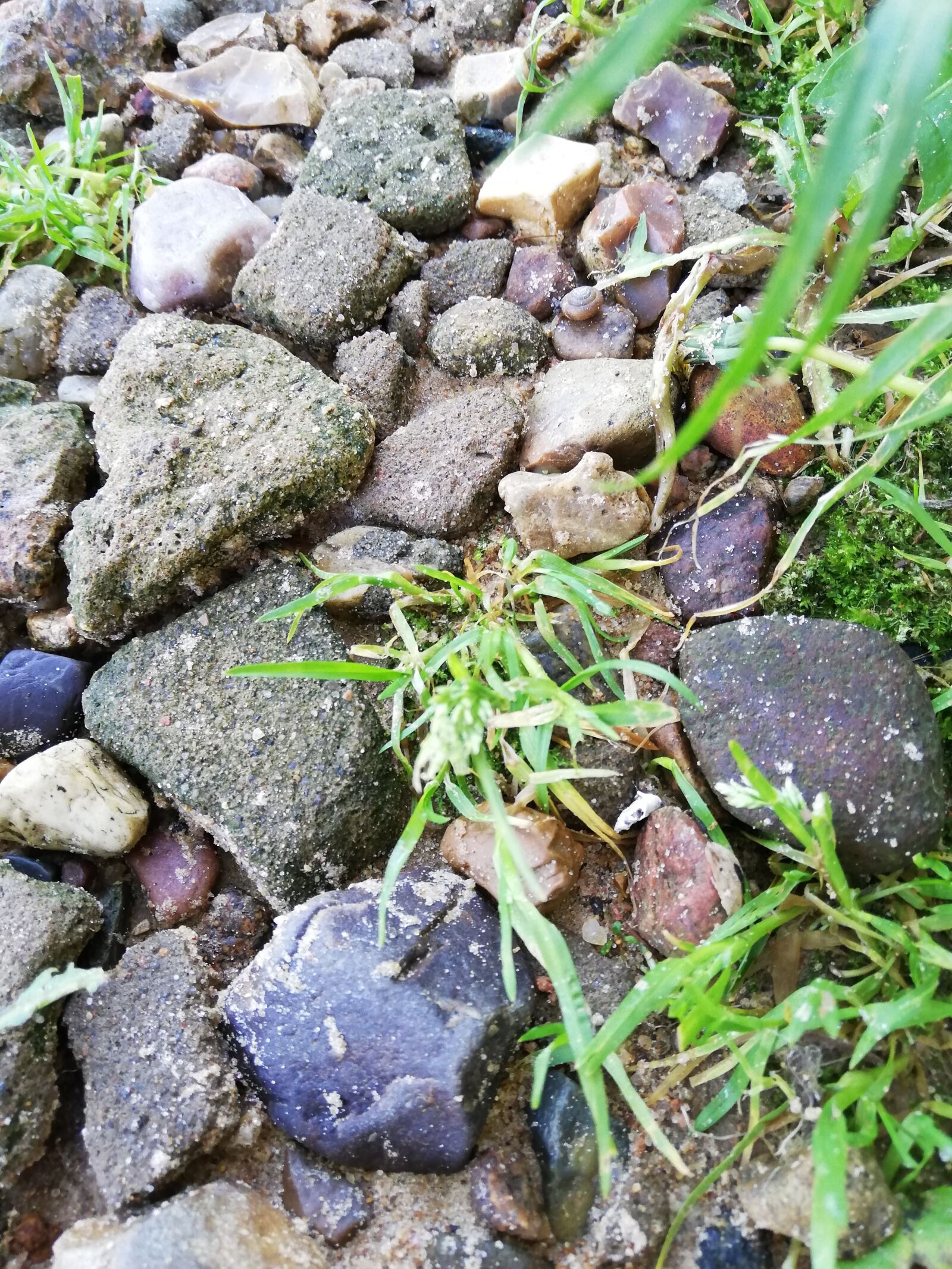 HUAWEI P20 lite sample photo. Stones, on earth, day photography