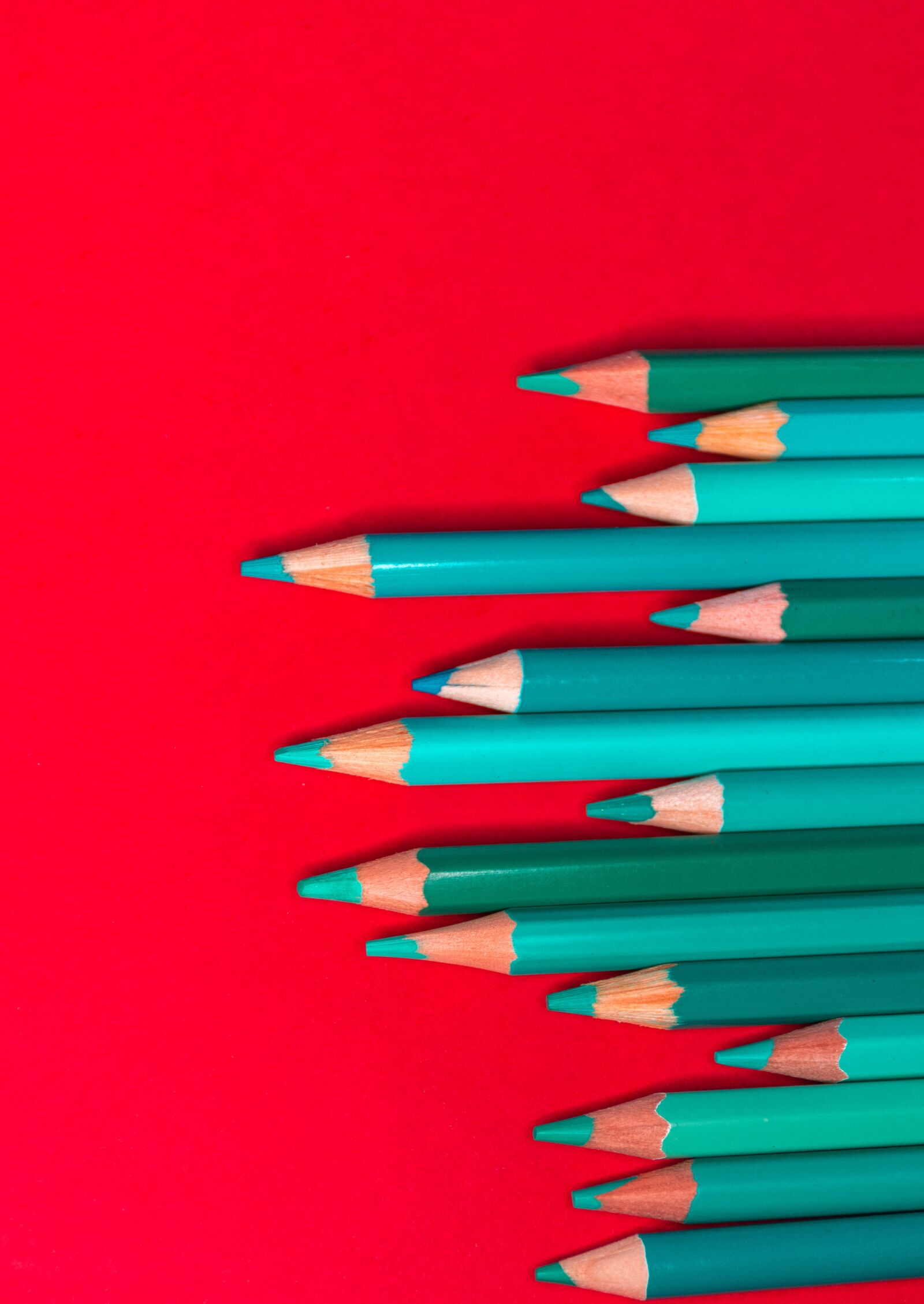 Nikon D7200 sample photo. Pencils, red, school photography