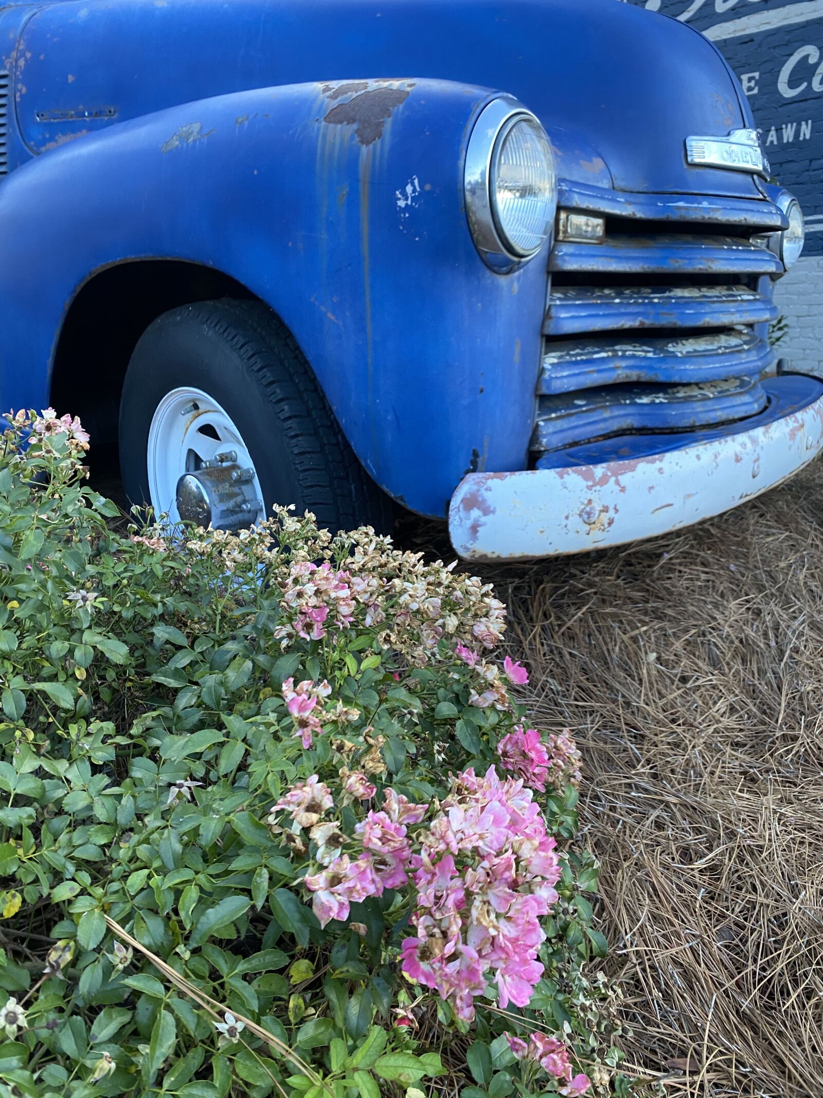 Apple iPhone 11 Pro sample photo. Chevy, truck, c photography