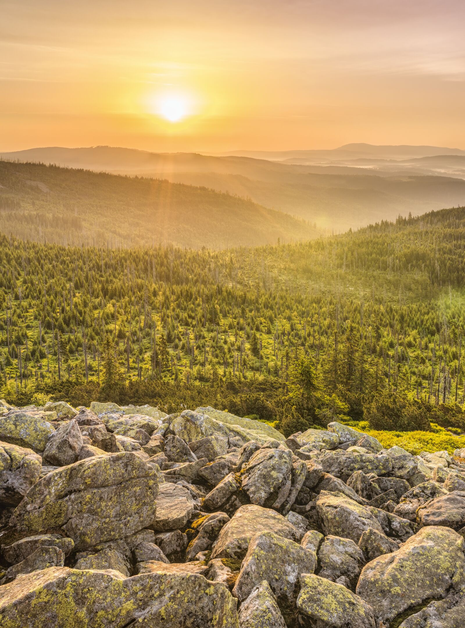Sony a6300 + Sigma 30mm F2.8 EX DN sample photo. Lusen, sunrise, landscape photography