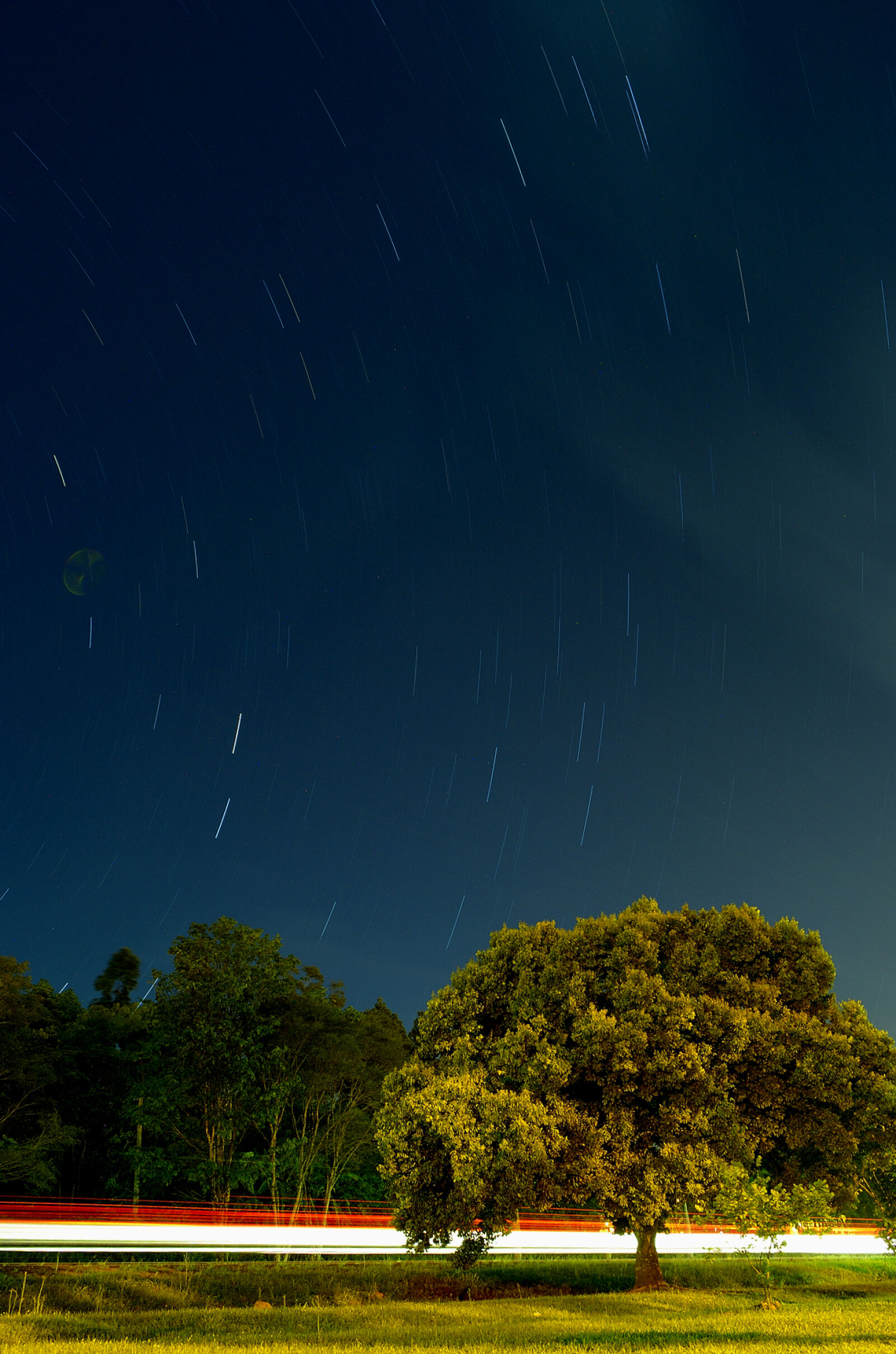 Nikon D5100 sample photo