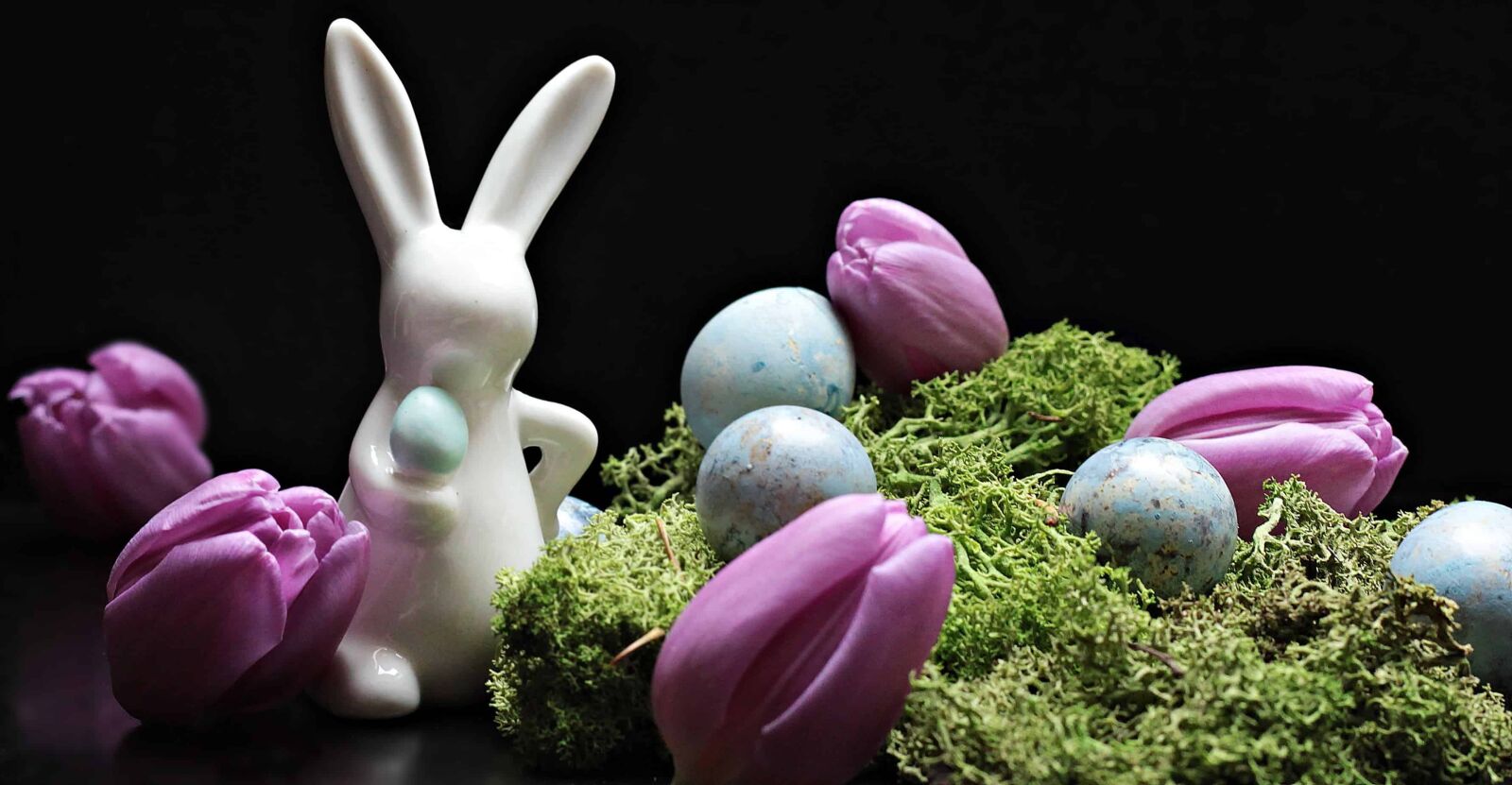 Canon EOS 550D (EOS Rebel T2i / EOS Kiss X4) sample photo. Easter, egg, flower, still photography