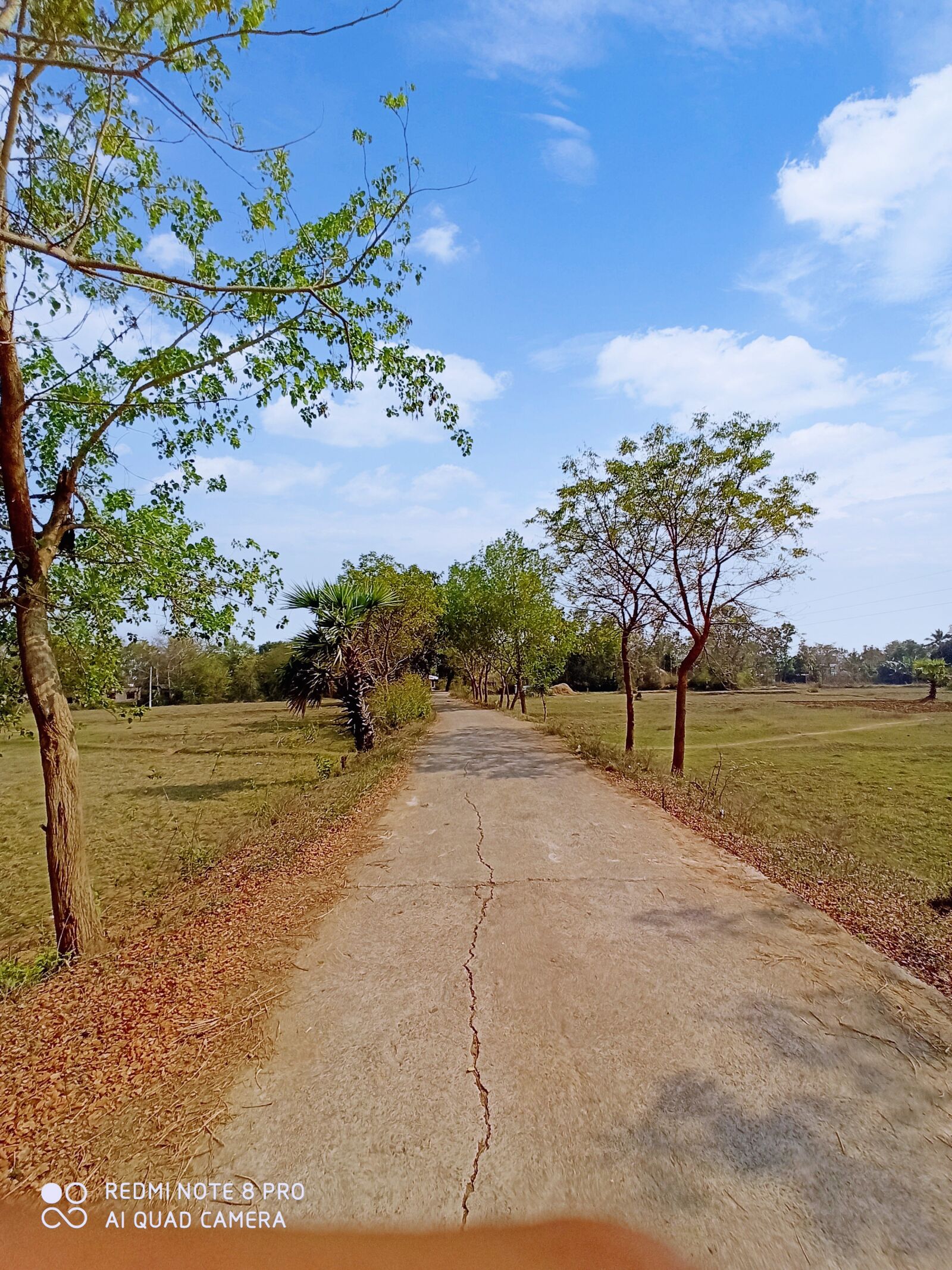 Xiaomi Redmi Note 8 Pro sample photo. Sunny, weather, summer photography