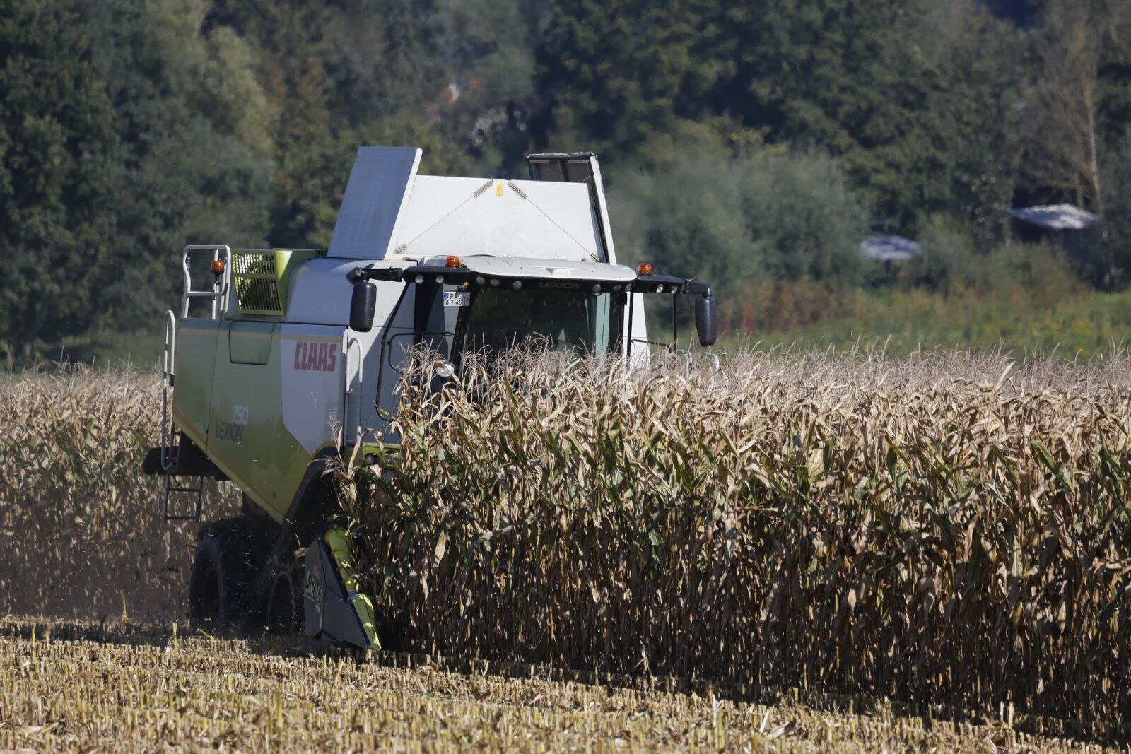 Canon EOS 5D Mark III + Canon EF 100-400mm F4.5-5.6L IS USM sample photo. Agriculture, combine harvester, rural photography
