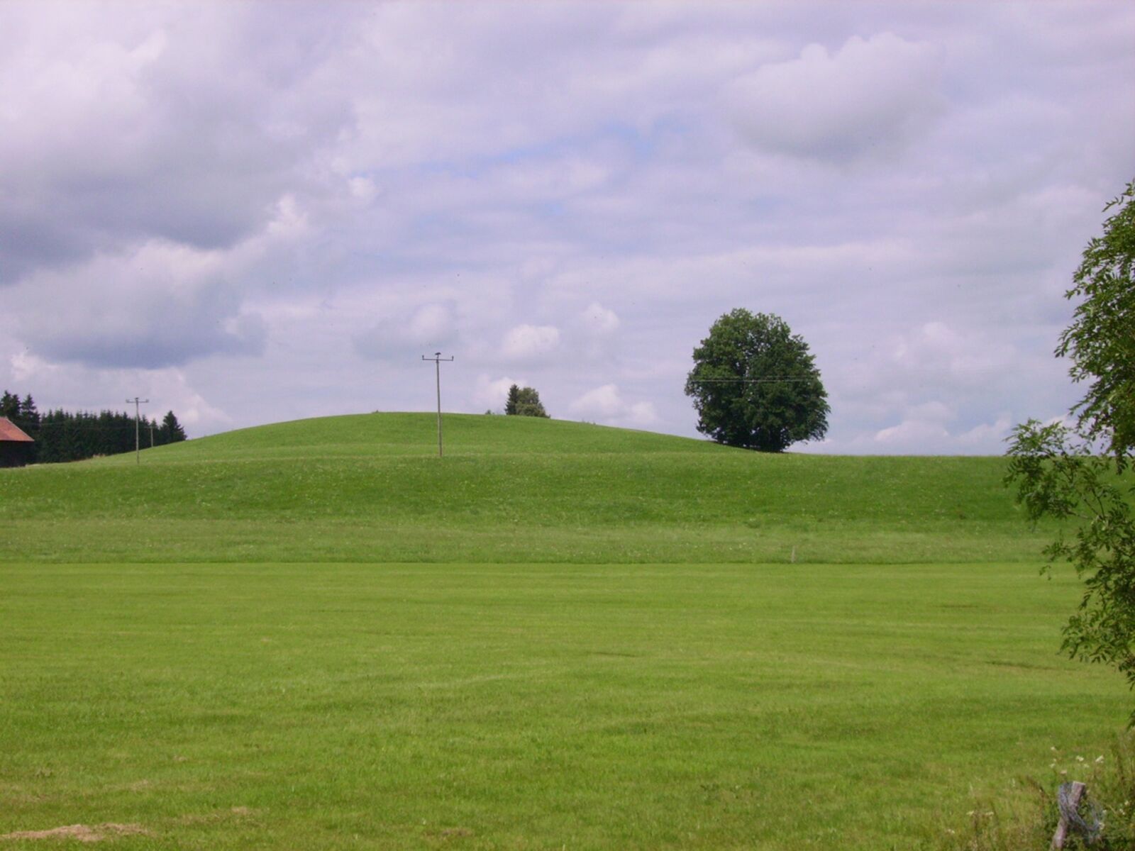 Acer CE-5330 sample photo. Landscape, meadow, nature photography