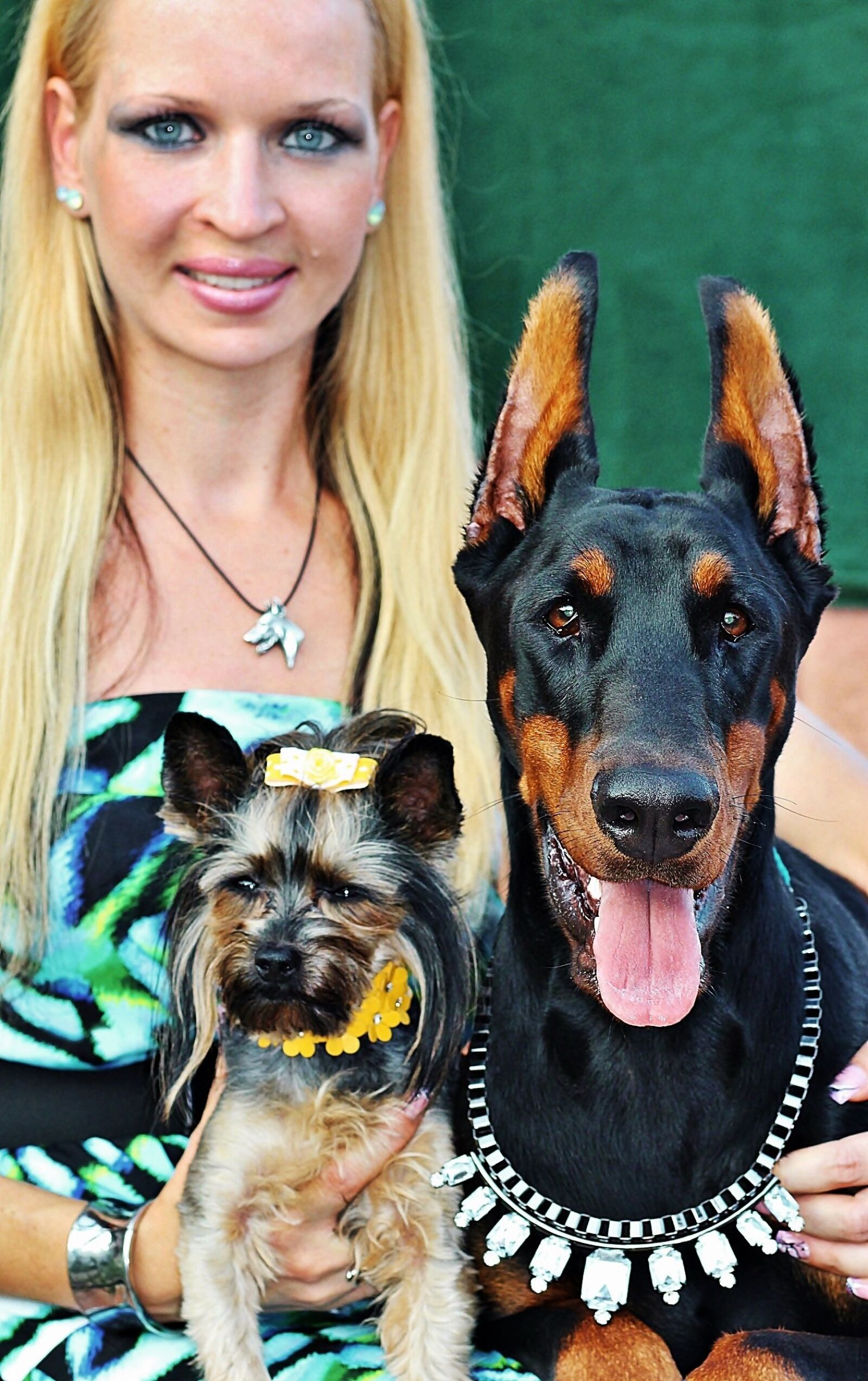 Canon EOS 600D (Rebel EOS T3i / EOS Kiss X5) + Canon EF 85mm F1.8 USM sample photo. Blonde woman, yorkie, doberman photography