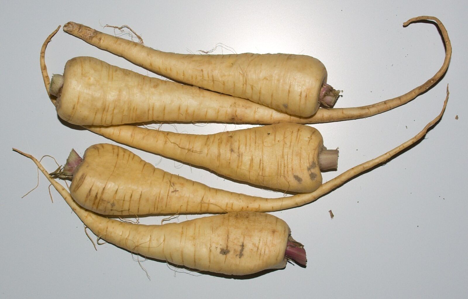 Pentax K200D sample photo. Parsnips, vegetables, ingredient photography