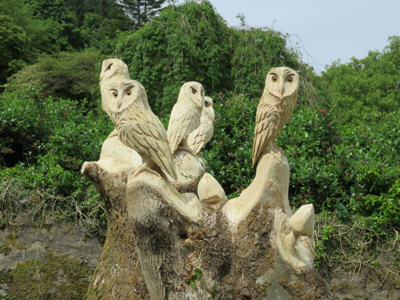 Canon PowerShot SX700 HS sample photo. Carved owls, wise, wood photography