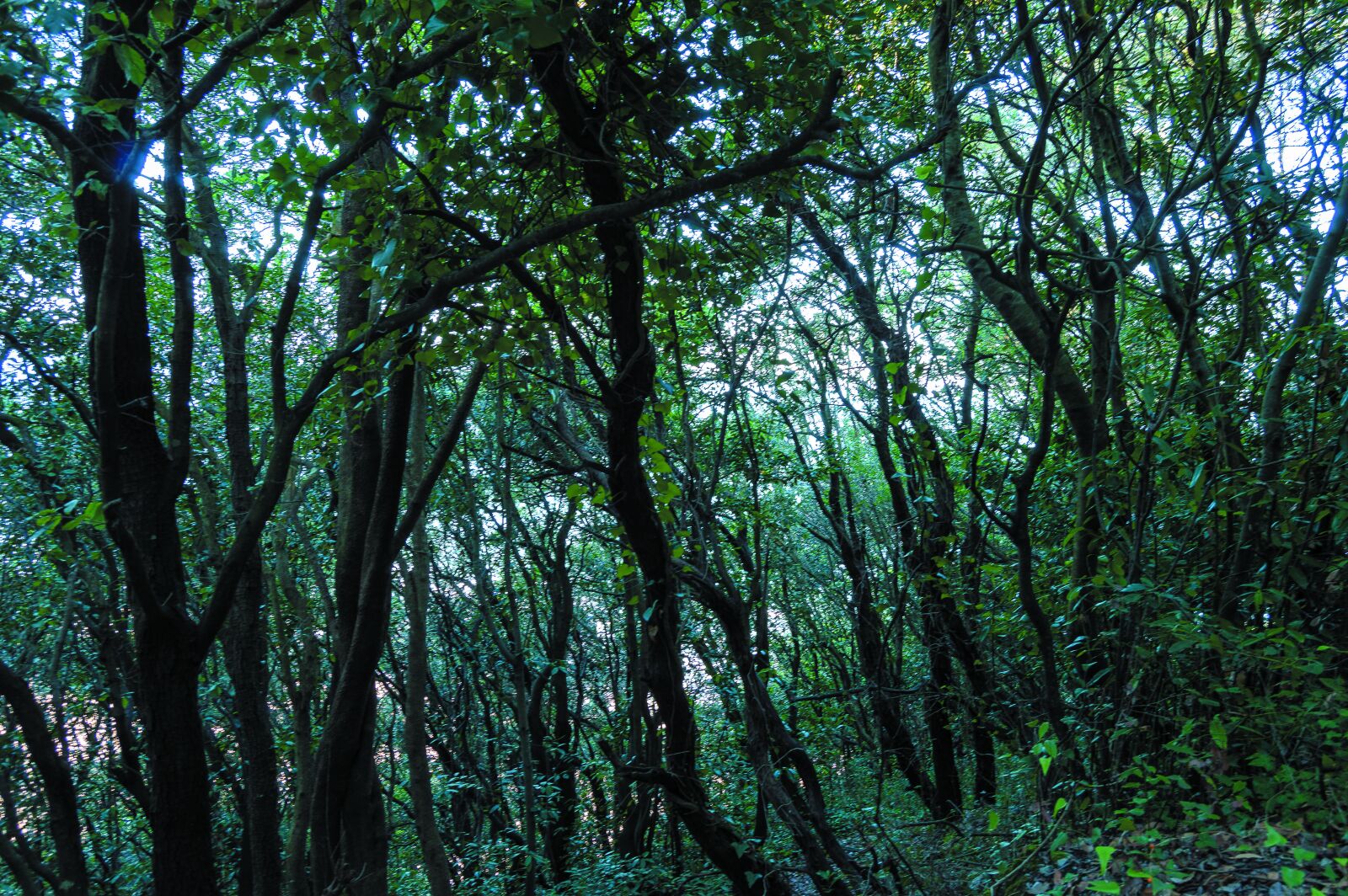 Nikon D3200 sample photo. Mountains, route, road photography