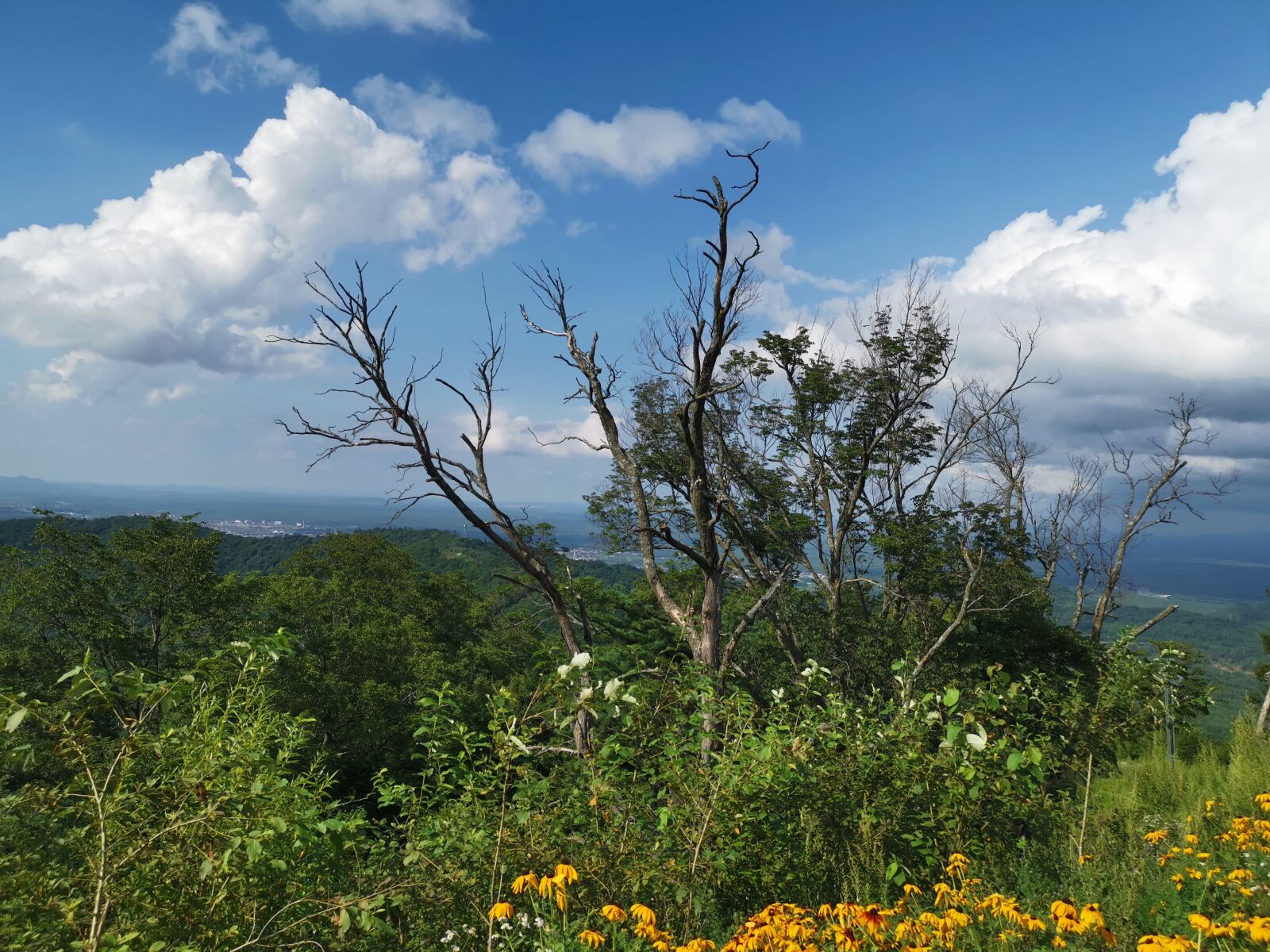 HUAWEI Mate 20 Pro sample photo. The scenery, changbai mountain photography