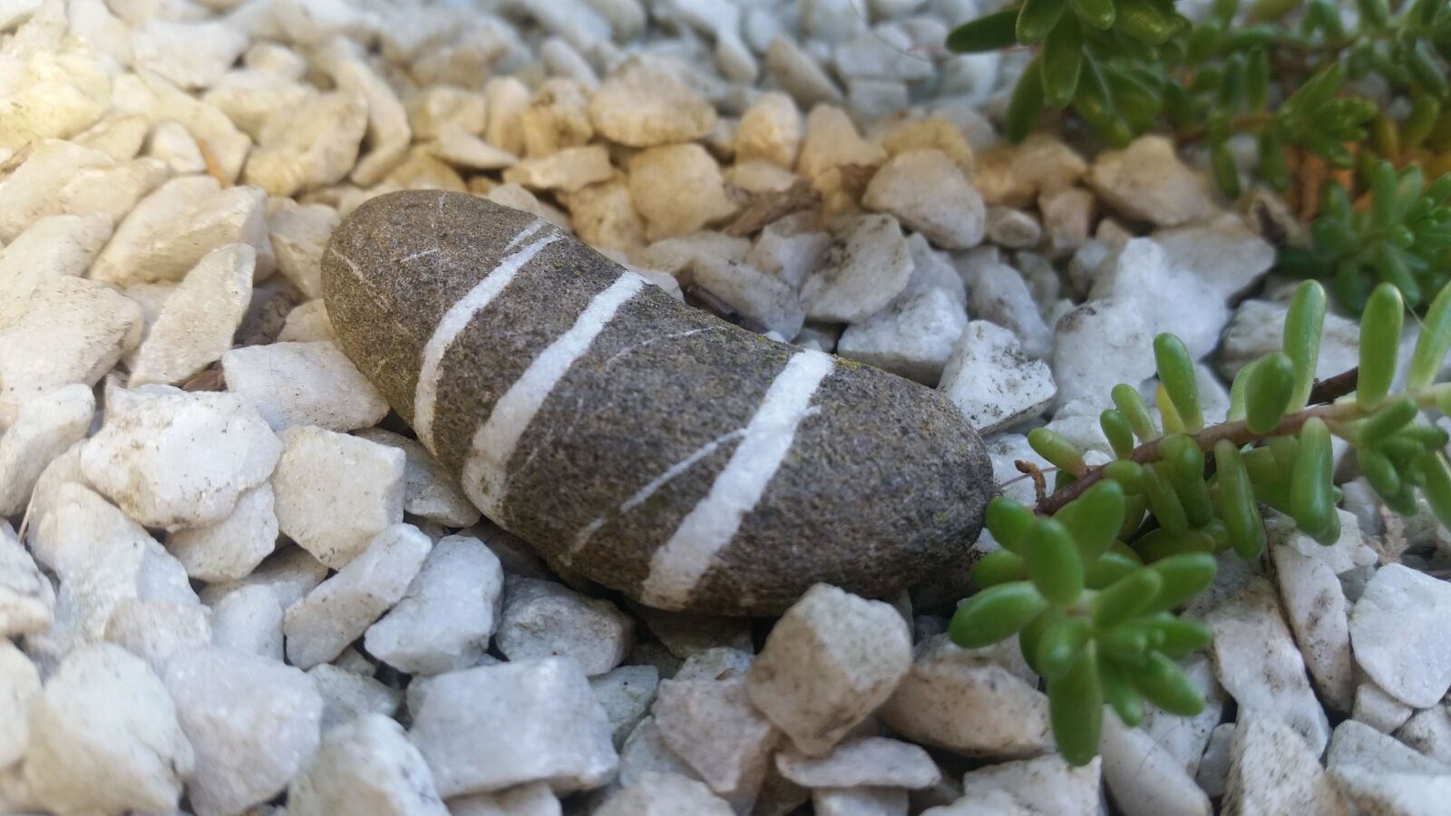 Samsung Galaxy S5 sample photo. Stone, gravel, zen photography