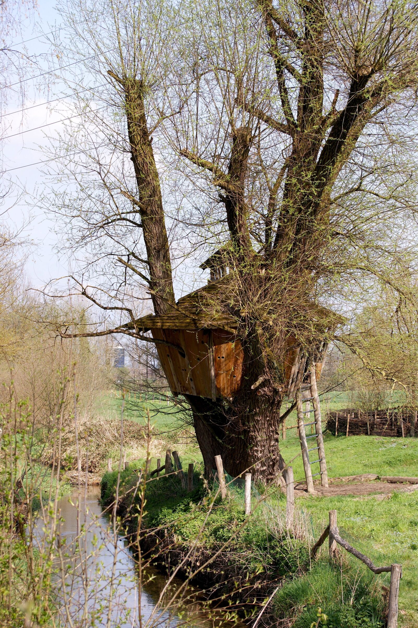 Sony Alpha DSLR-A350 sample photo. Treehouse, nature, landscape photography