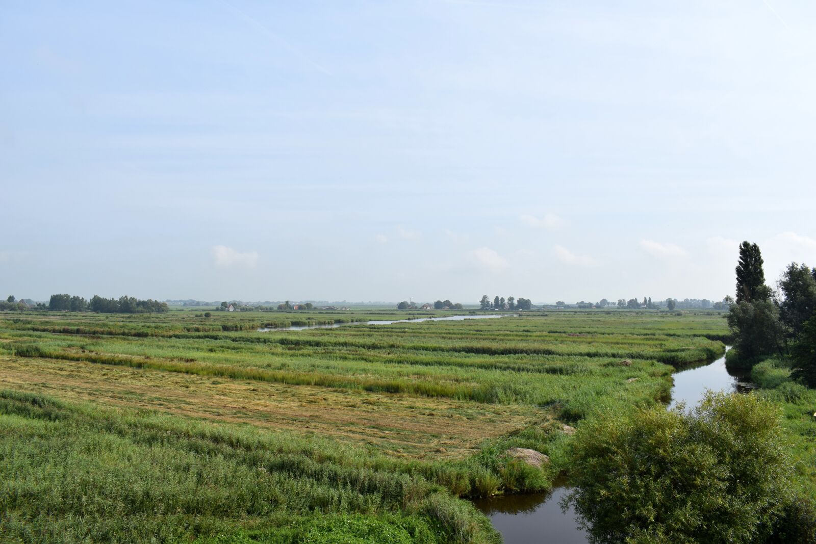 Nikon D3300 sample photo. Dutch landscape, meadow, polder photography