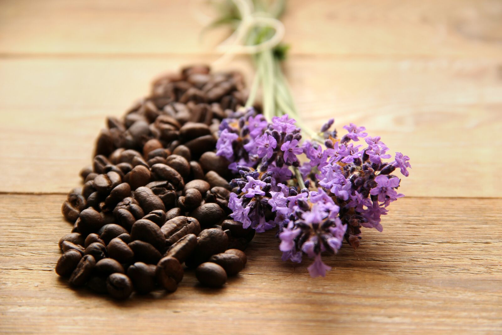 Canon EOS 600D (Rebel EOS T3i / EOS Kiss X5) sample photo. Coffee, coffee beans, brown photography
