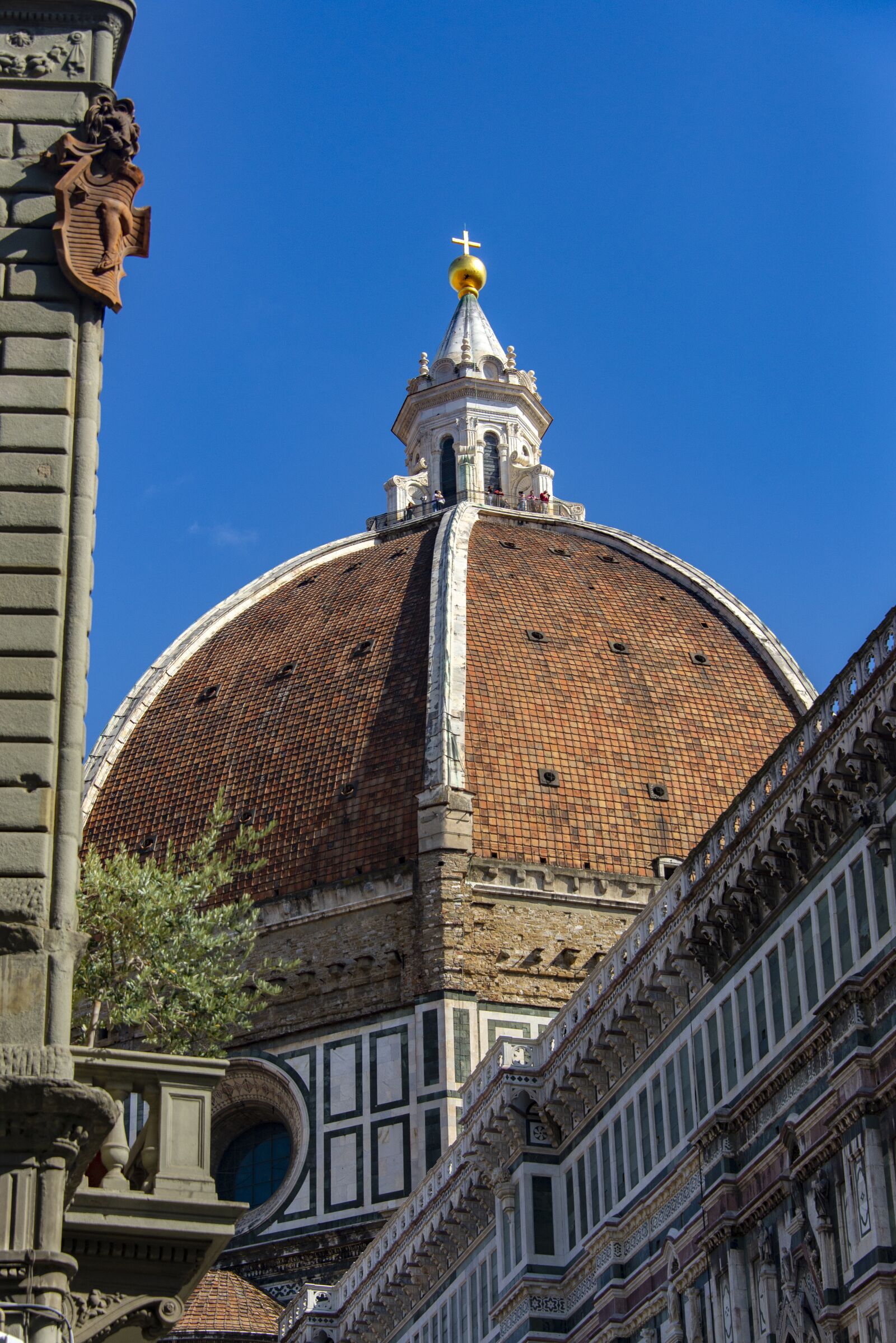 Nikon D600 sample photo. Dome, florence, italy photography