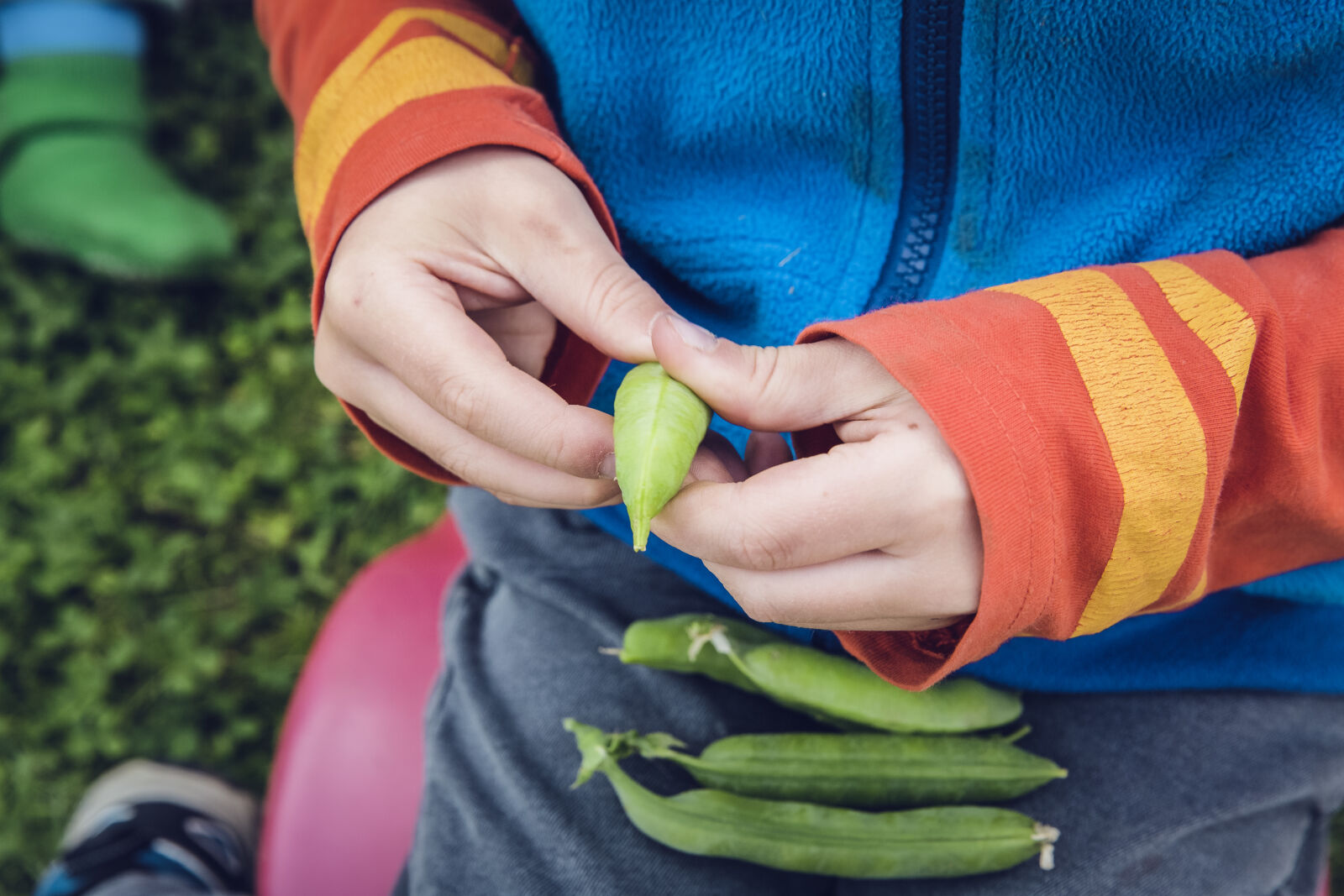 Canon EF 24-70mm F2.8L II USM sample photo. Food, hands, woman, beans photography