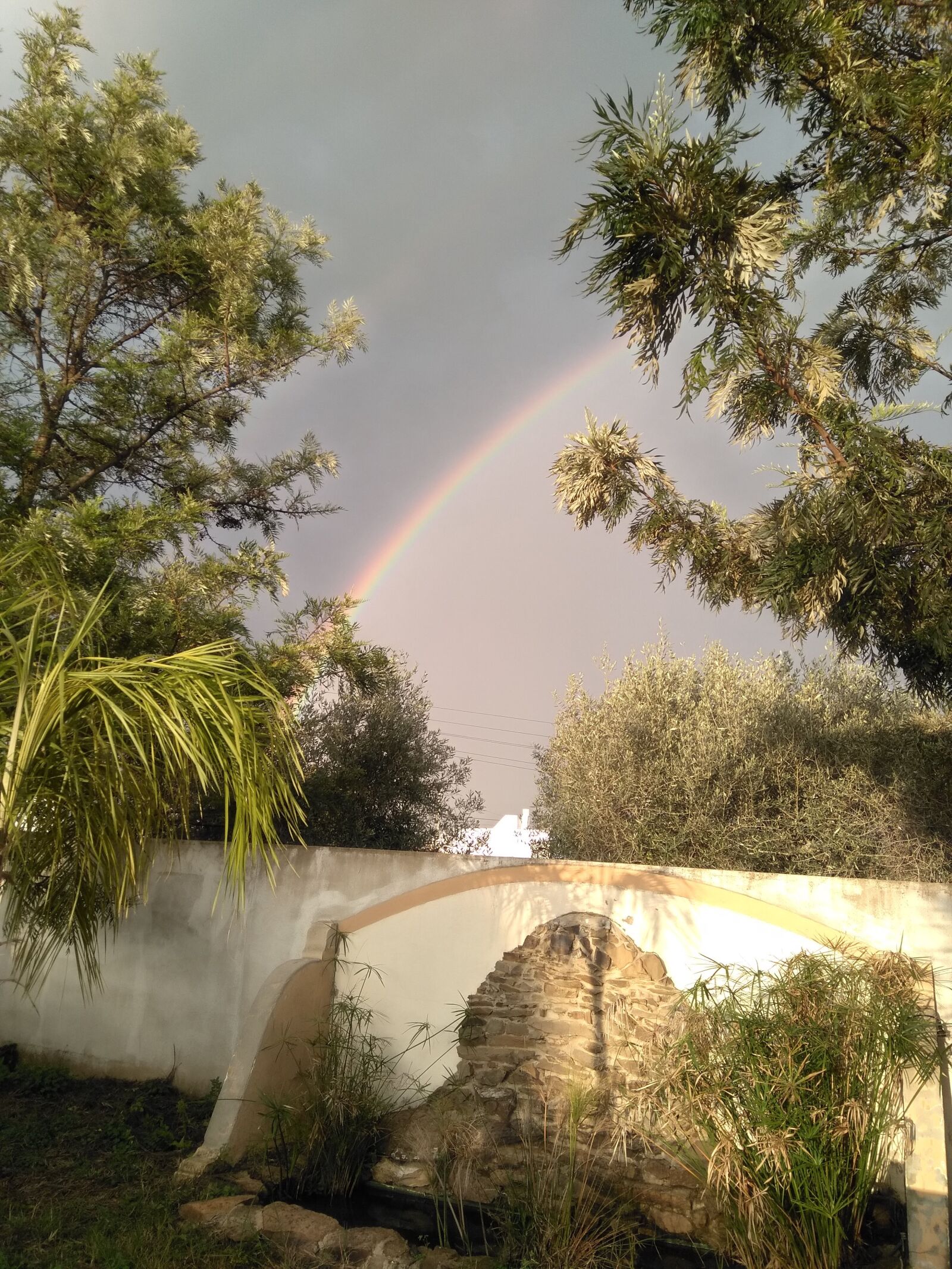 HMD Global Nokia 5 sample photo. Rainbow, rain, nature photography