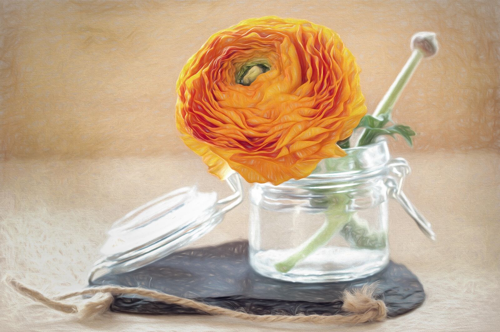 Nikon D90 sample photo. Drawing, flower, ranunculus photography