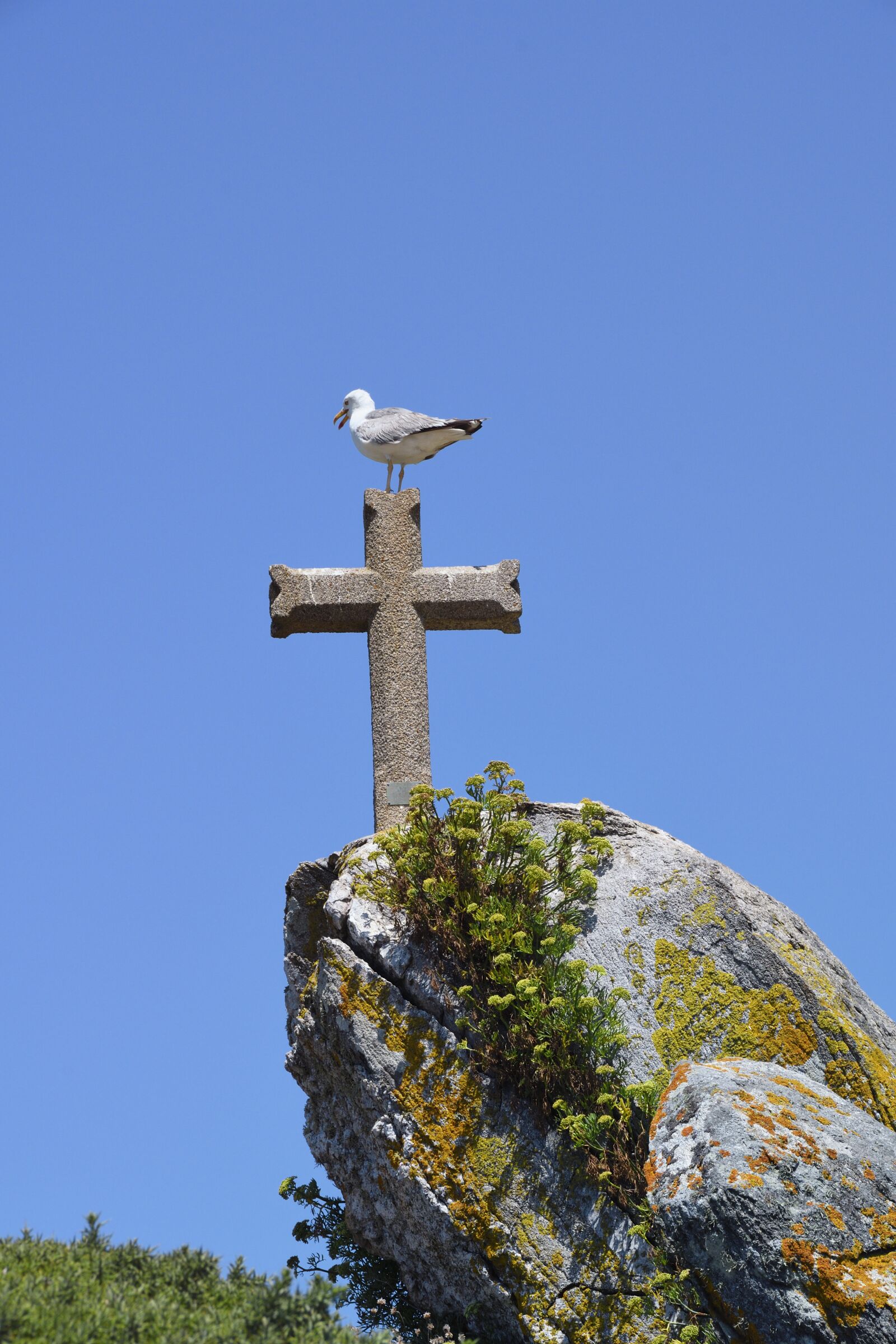 Nikon D500 sample photo. Cross, rocks, bird photography