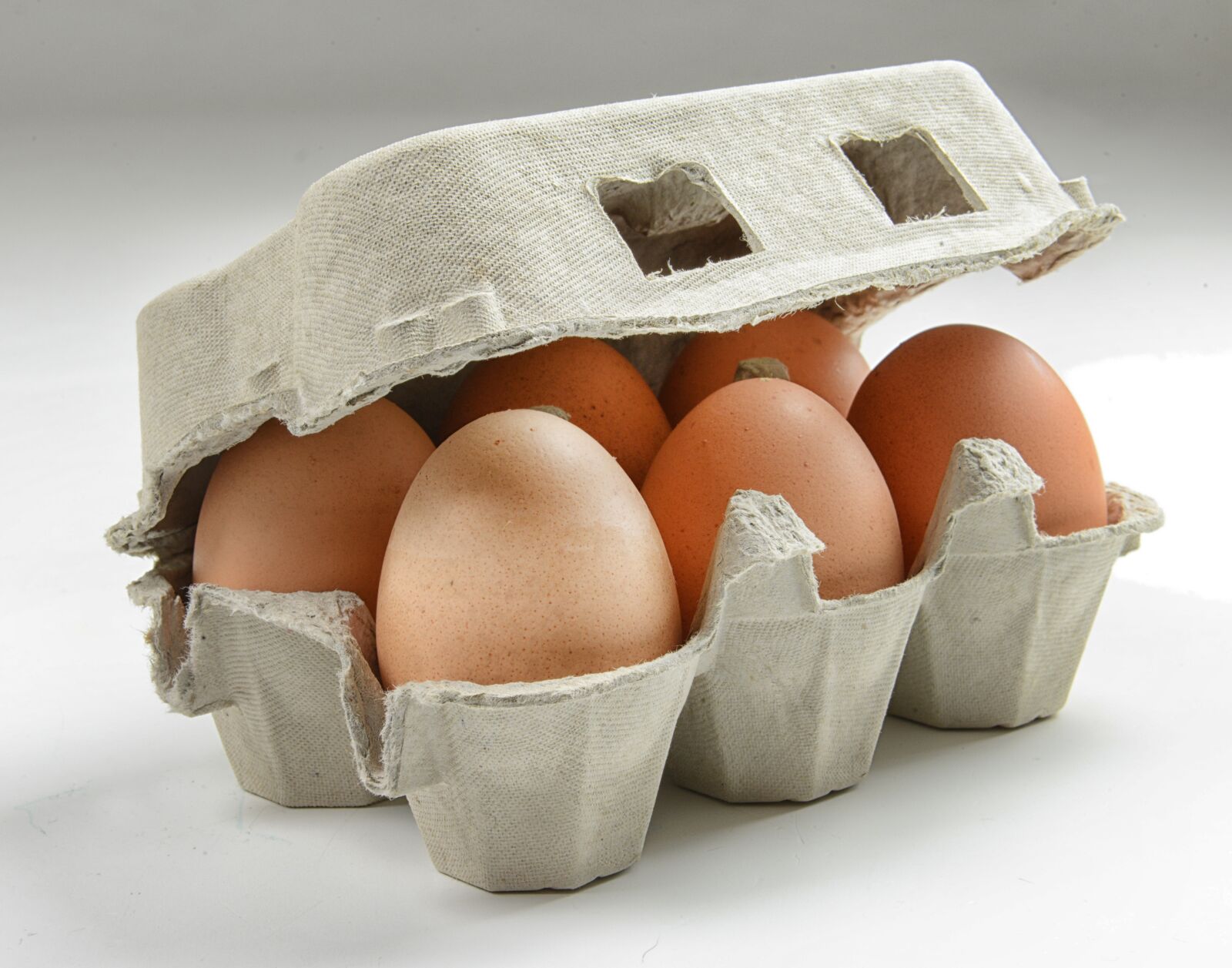 Nikon D800 sample photo. Hen's egg, organic egg photography