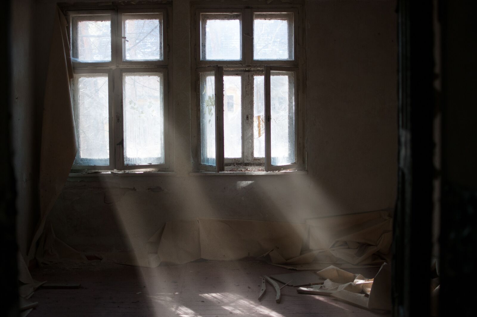 Nikon D300S sample photo. Window, indoors, house photography