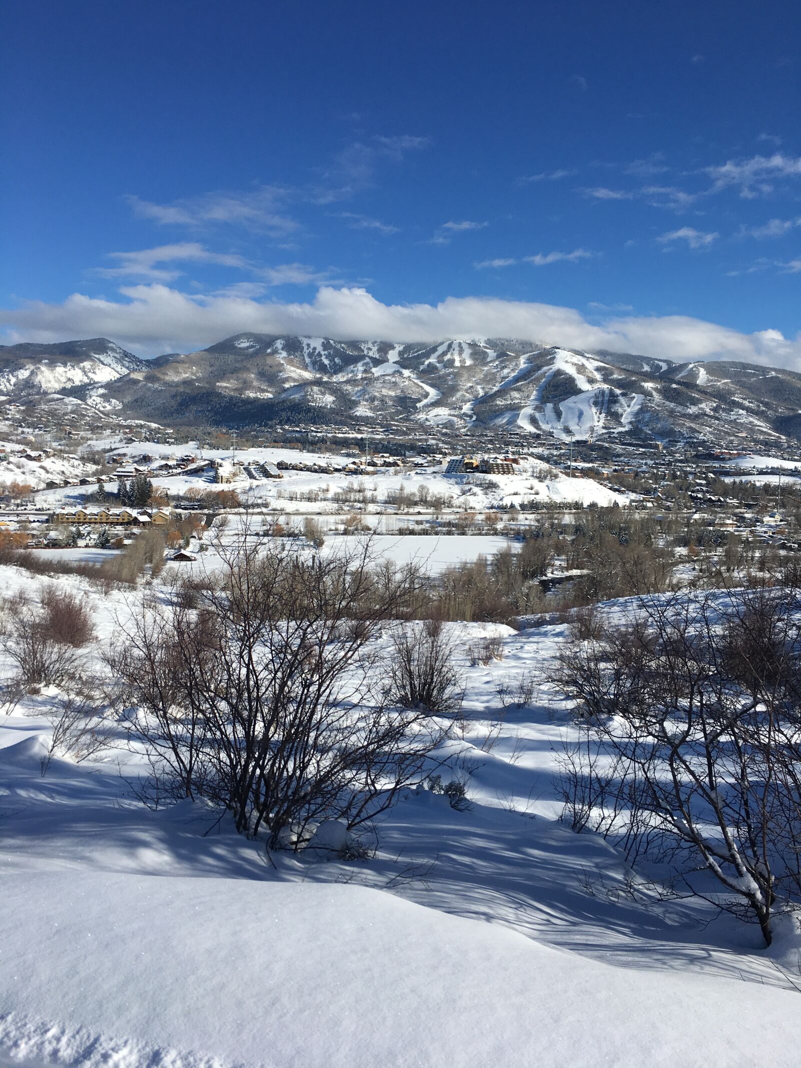 Apple iPhone 6s sample photo. Sky, trees, colorado photography