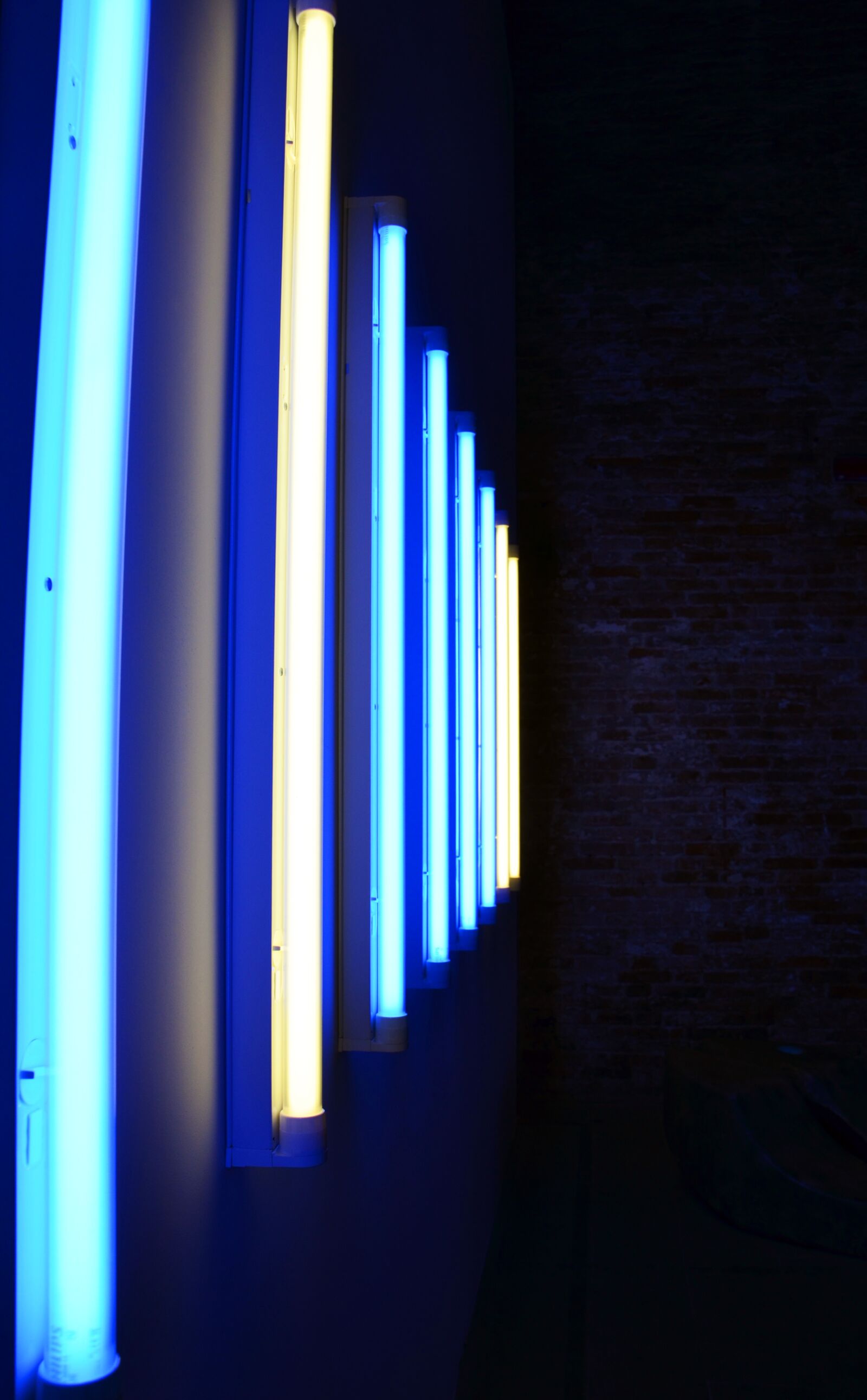 Nikon D7000 sample photo. Neon, neon light, neon photography
