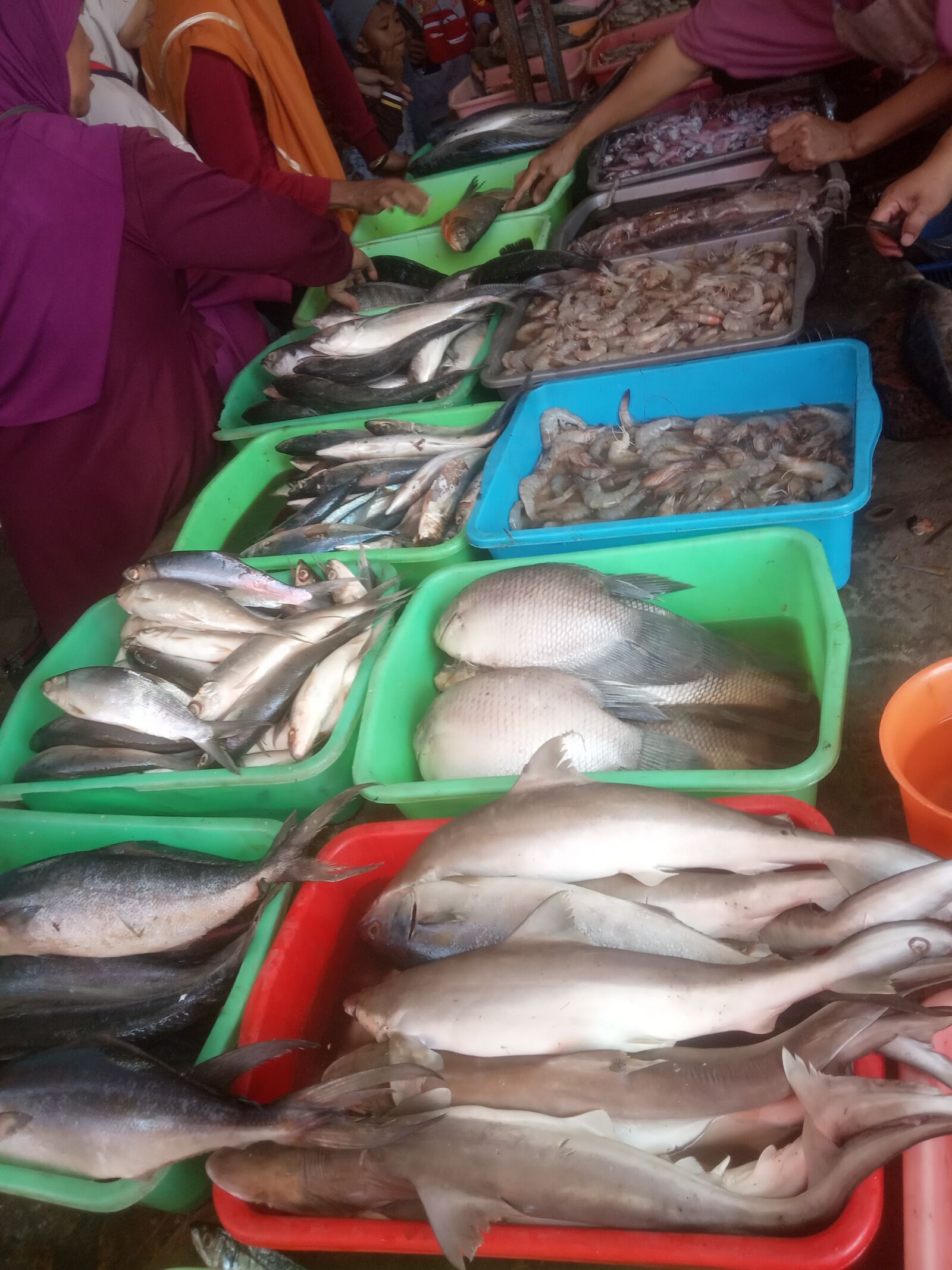 Xiaomi Redmi 6A sample photo. Market, fish, seafood photography